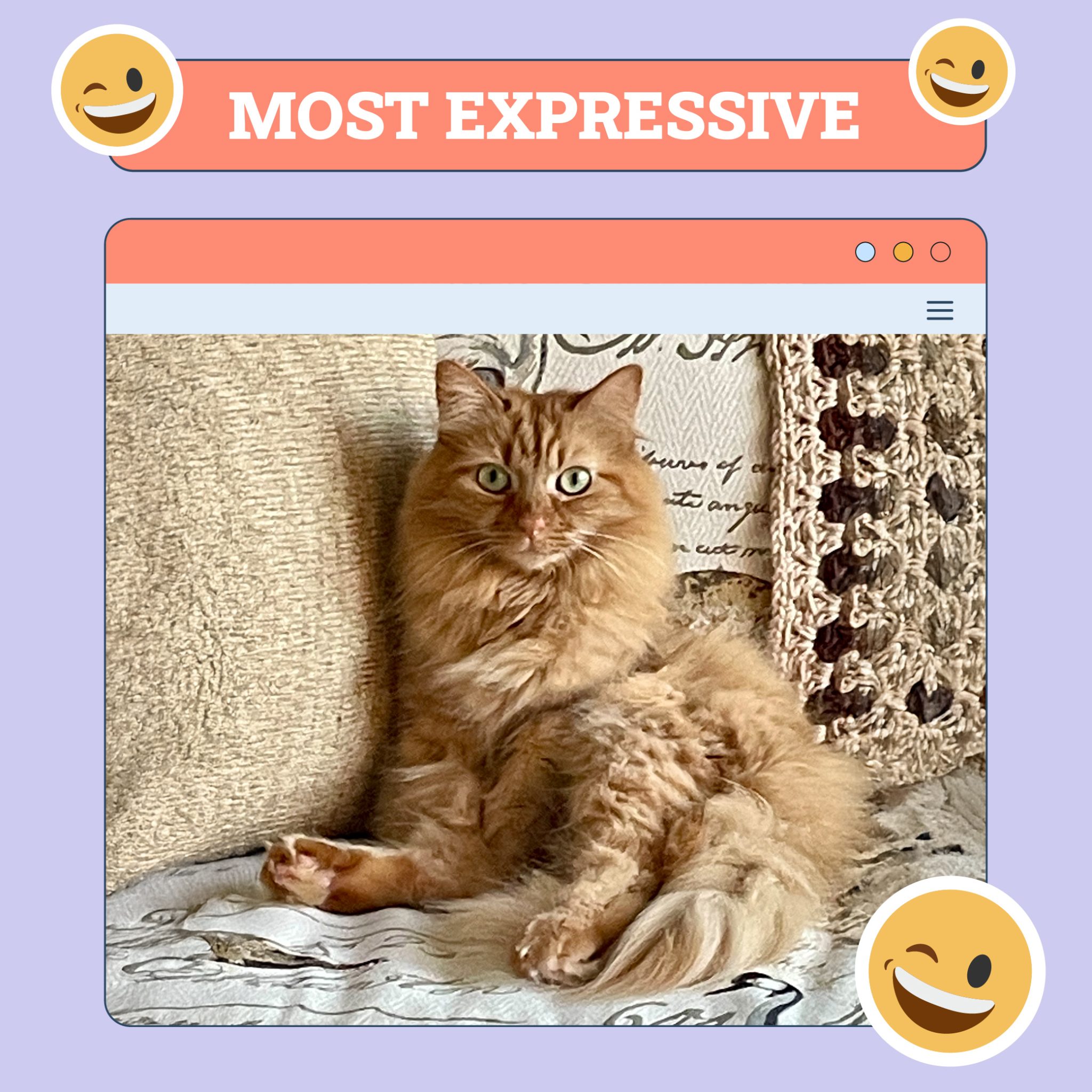 MOST EXPRESSIVE JUNE 5