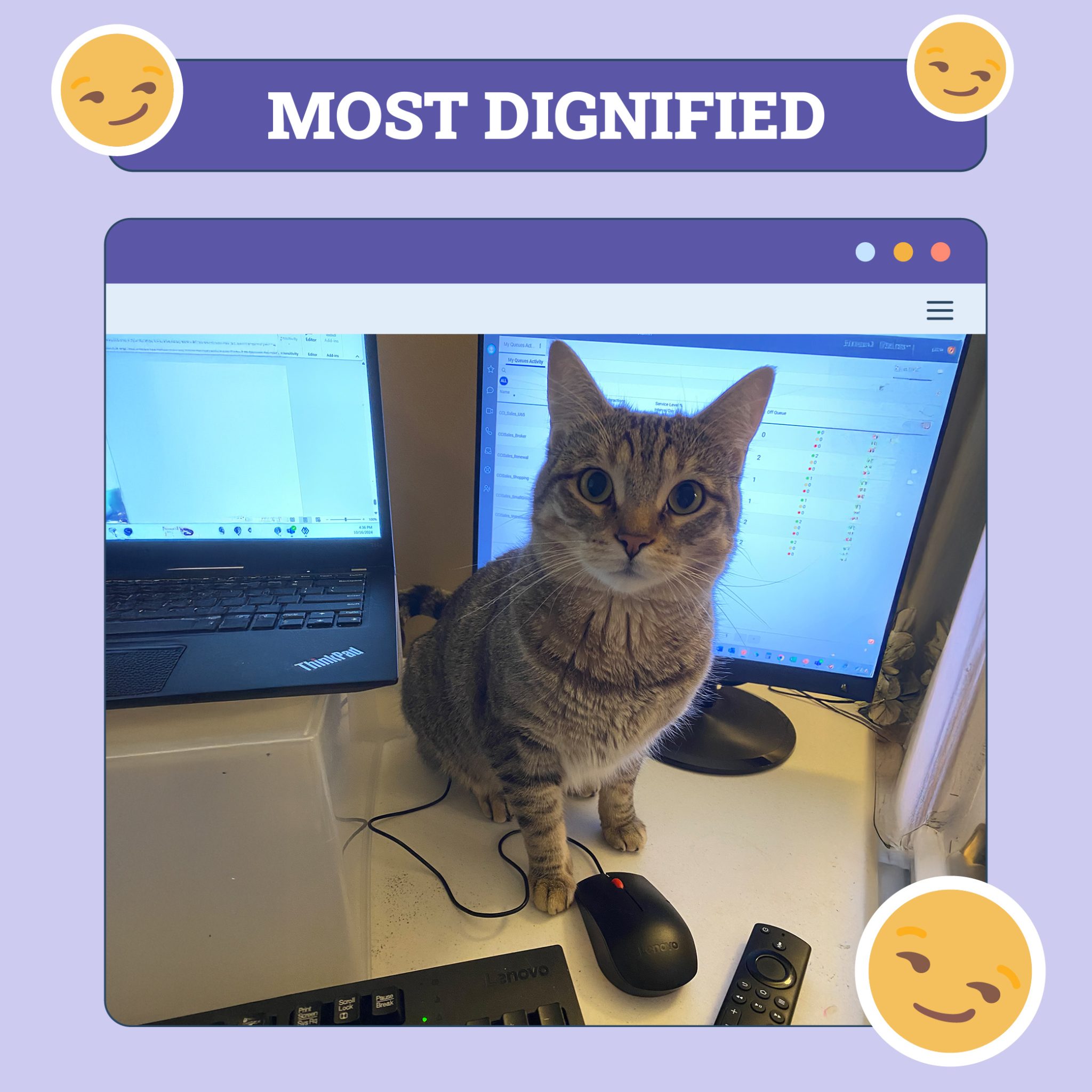 Most dignified june 5
