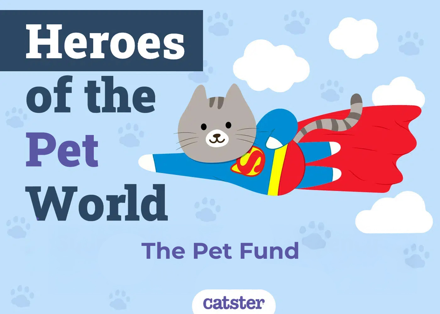 The Pet Fund’s $100K Mission: Saving Pets from Shelter Surrender and Euthanasia | Heroes of the Pet World