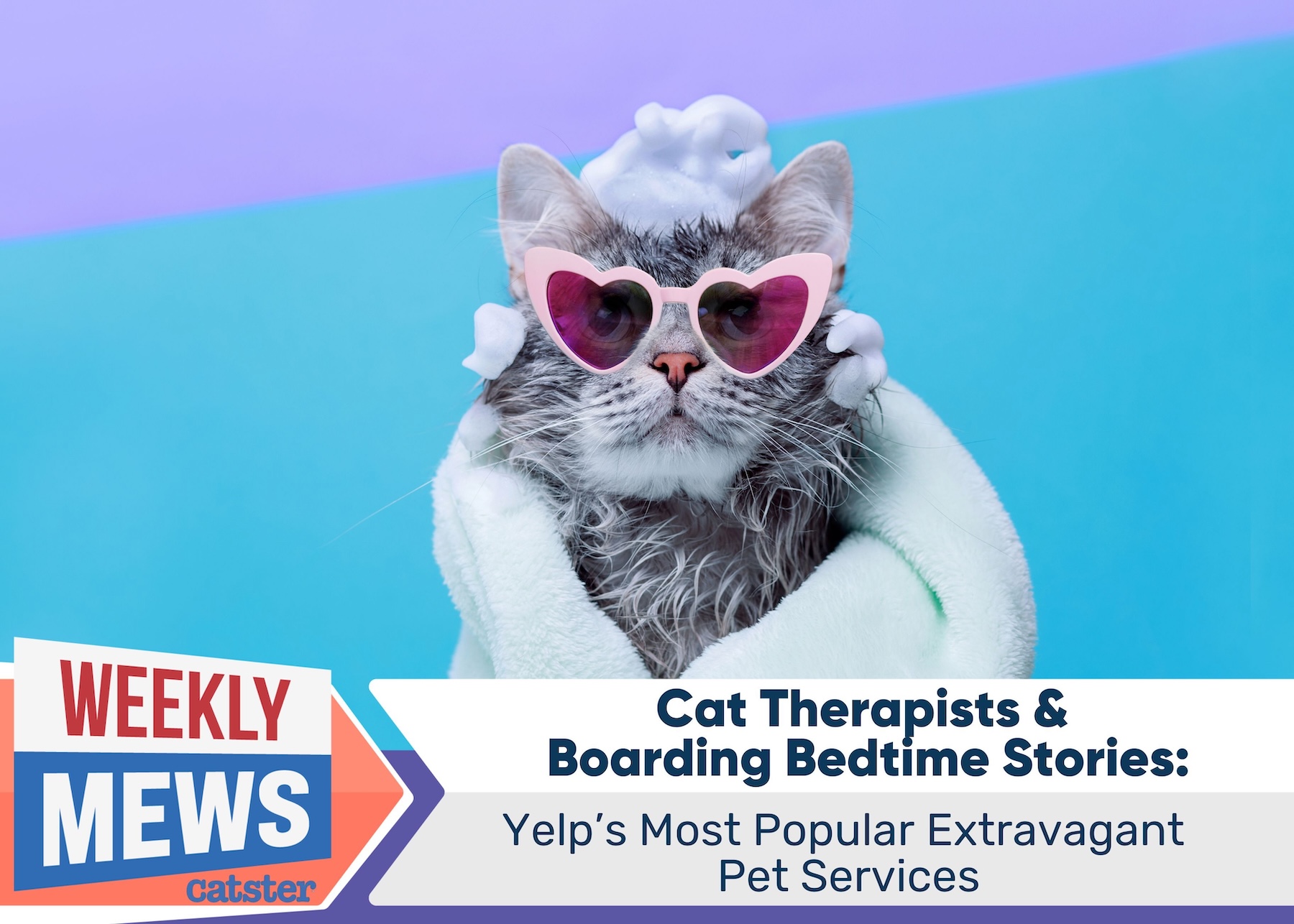 Cat Therapists & Boarding Bedtime Stories: Yelp's Most Popular Extravagant Pet Services