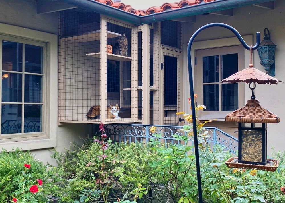 Photo via Custom Catios on Yelp_Extravagant Pet Services