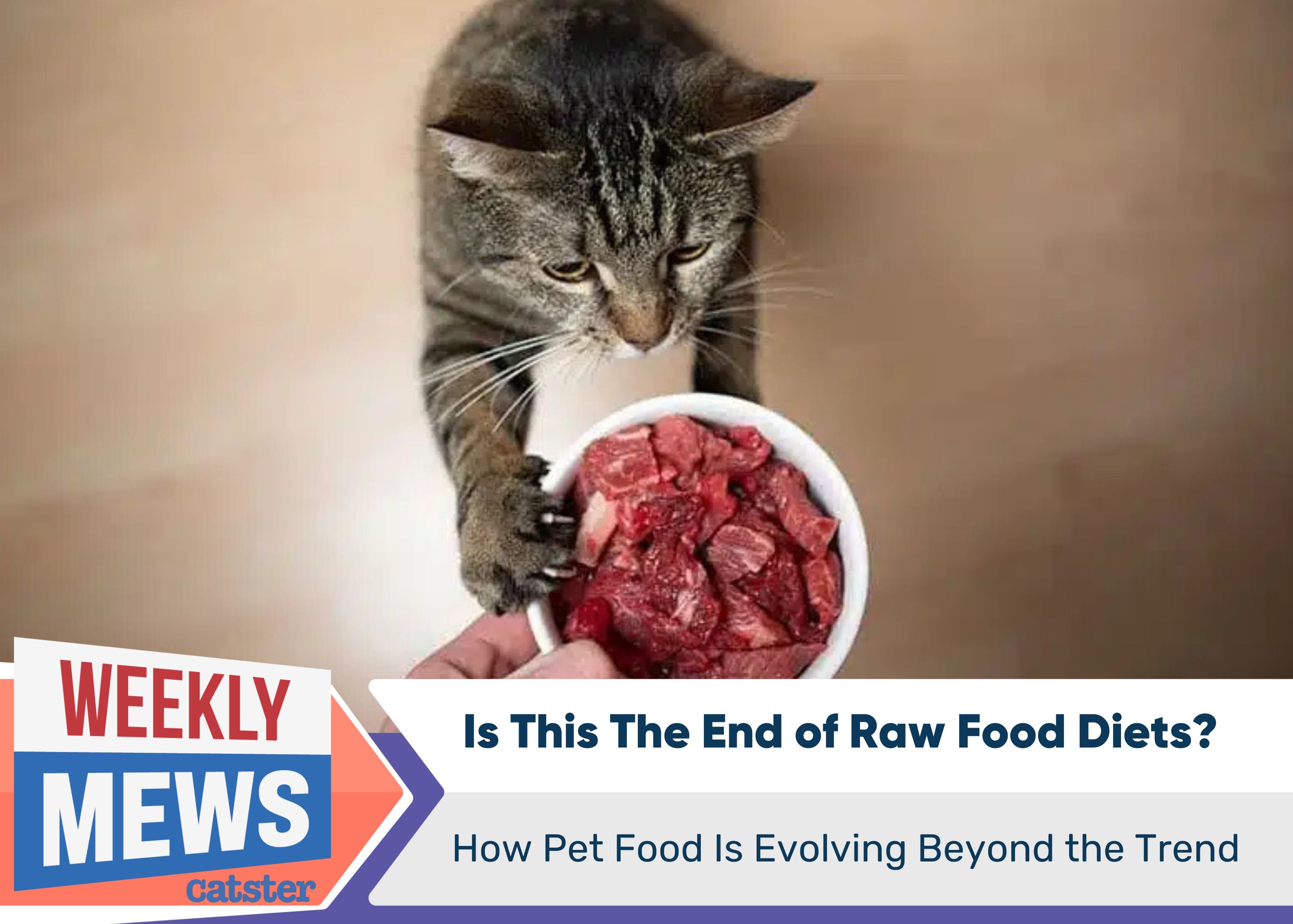 Is This The End of Raw Food Diets? How Pet Food Is Evolving Beyond the Trend