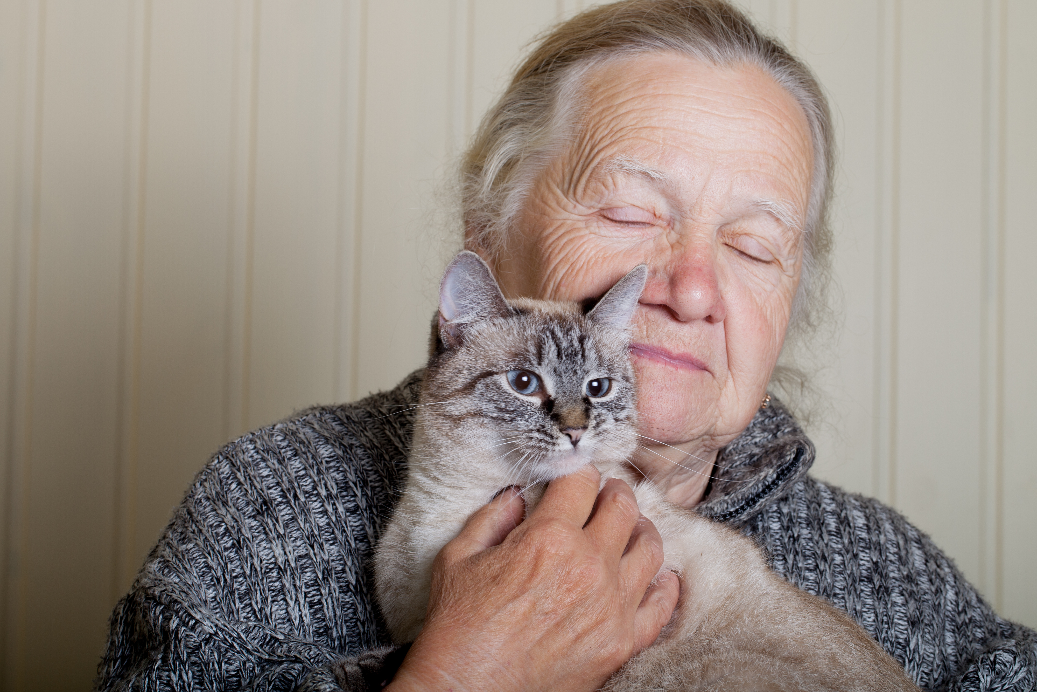 How Geriatric Felines Are Helping to Unlock the Mysteries of Alzheimer's Disease