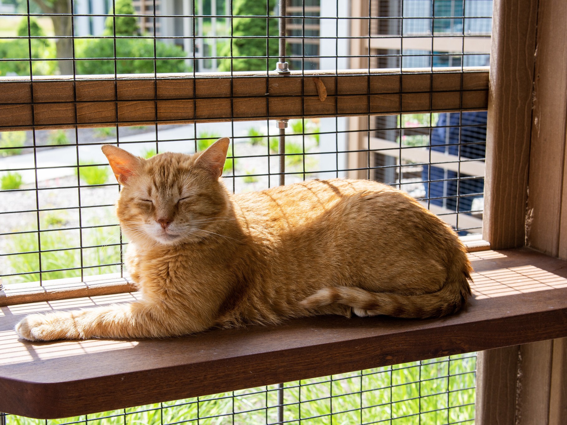 Charles basks in the bliss of his solarium