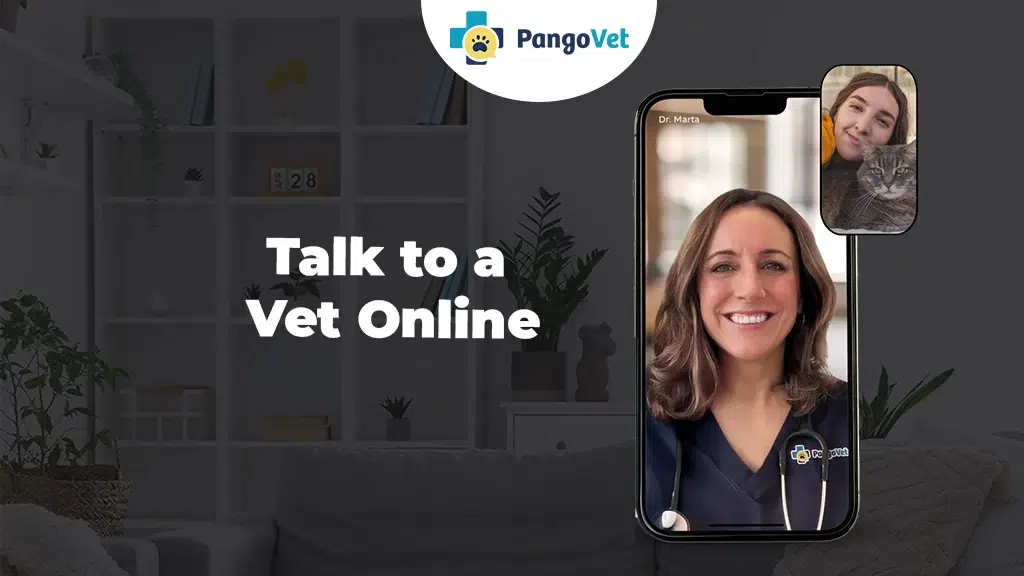 We're Hiring Telehealth Veterinarians for Remote Work (January 2026)