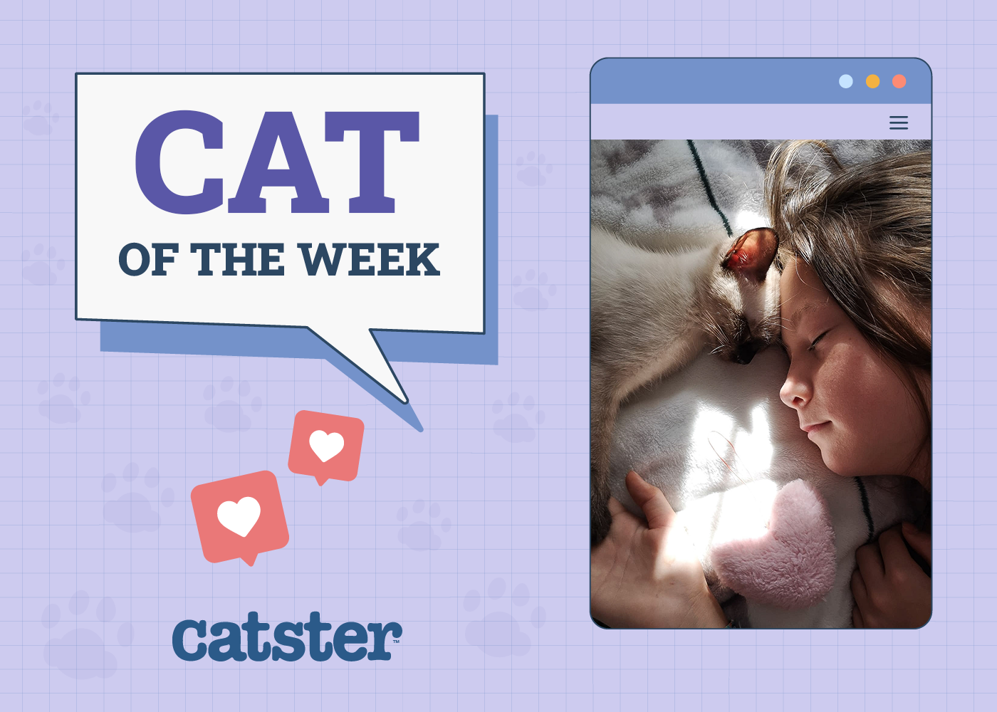 Catster Photo Contest: Cats of the Week Winners (October 23, 2025)
