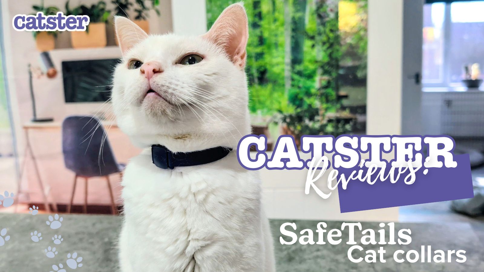 Catster Reviews: SafeTails Cat Collars