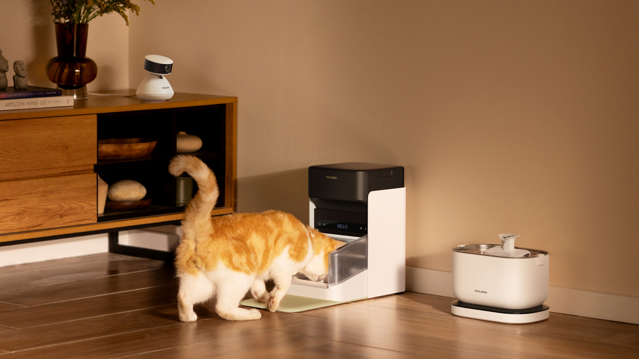 Why Every Cat Parent Needs Petlibro In Their Home