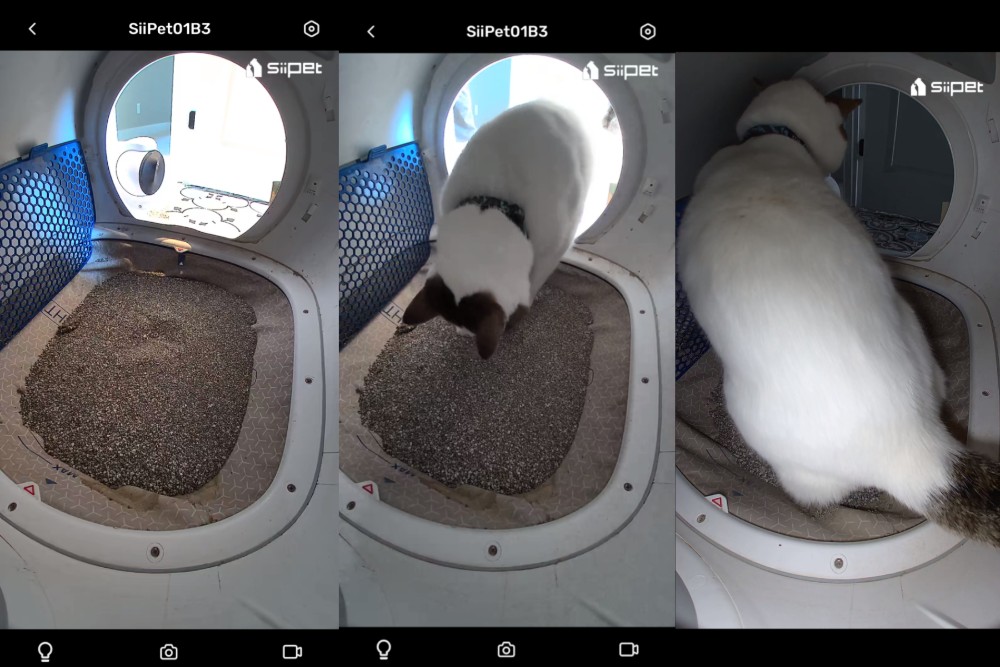SiiPet Inside the litter box