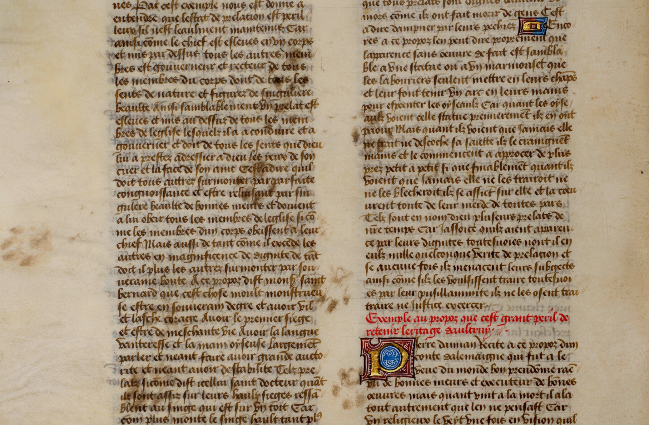 Paws on Parchment - Proof That Cats Have Been 'Helping' Writers for Centuries