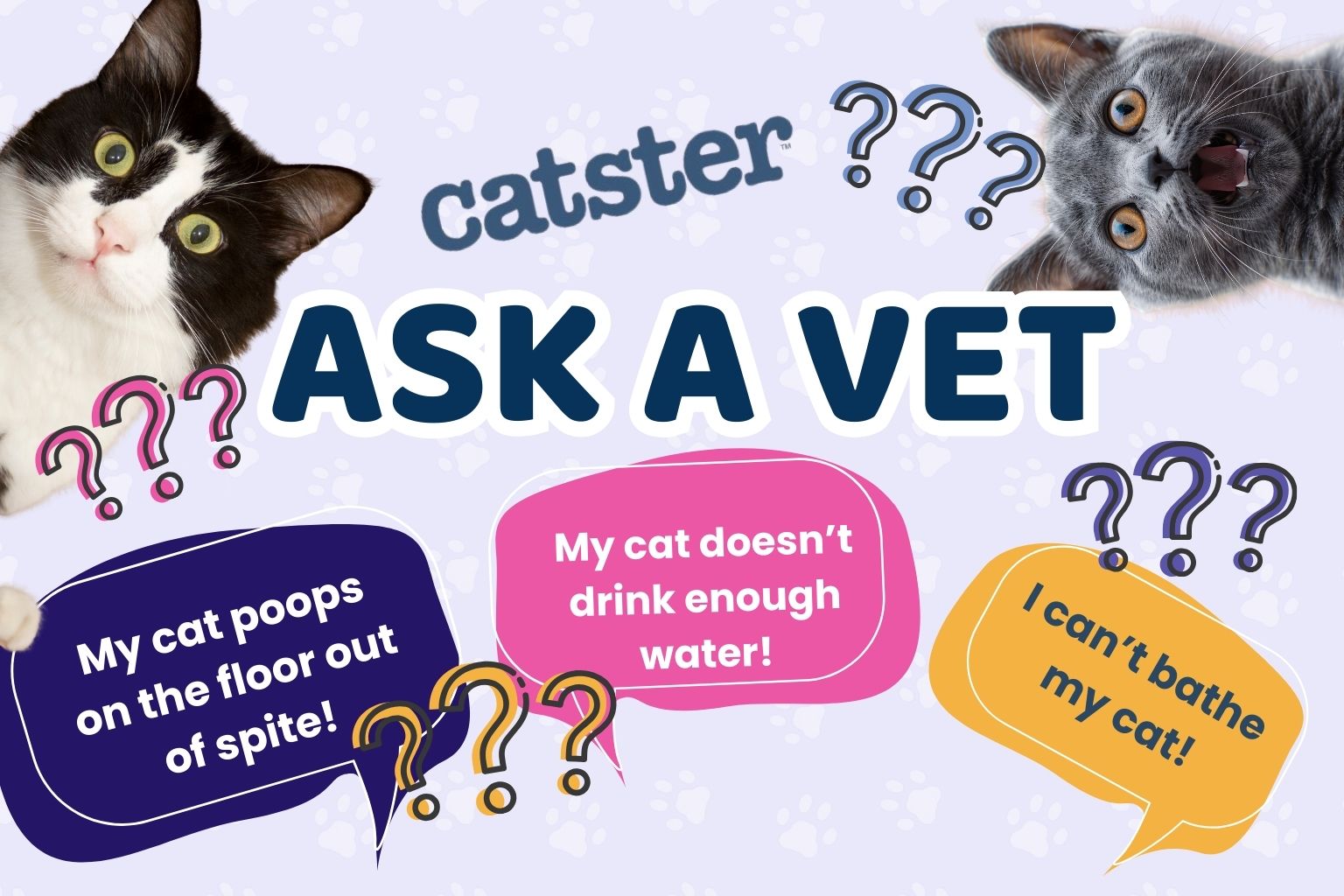 Ask Dr. Paola – Help! My Cat Poops On The Floor Out of Spite! (February 16, 2026)