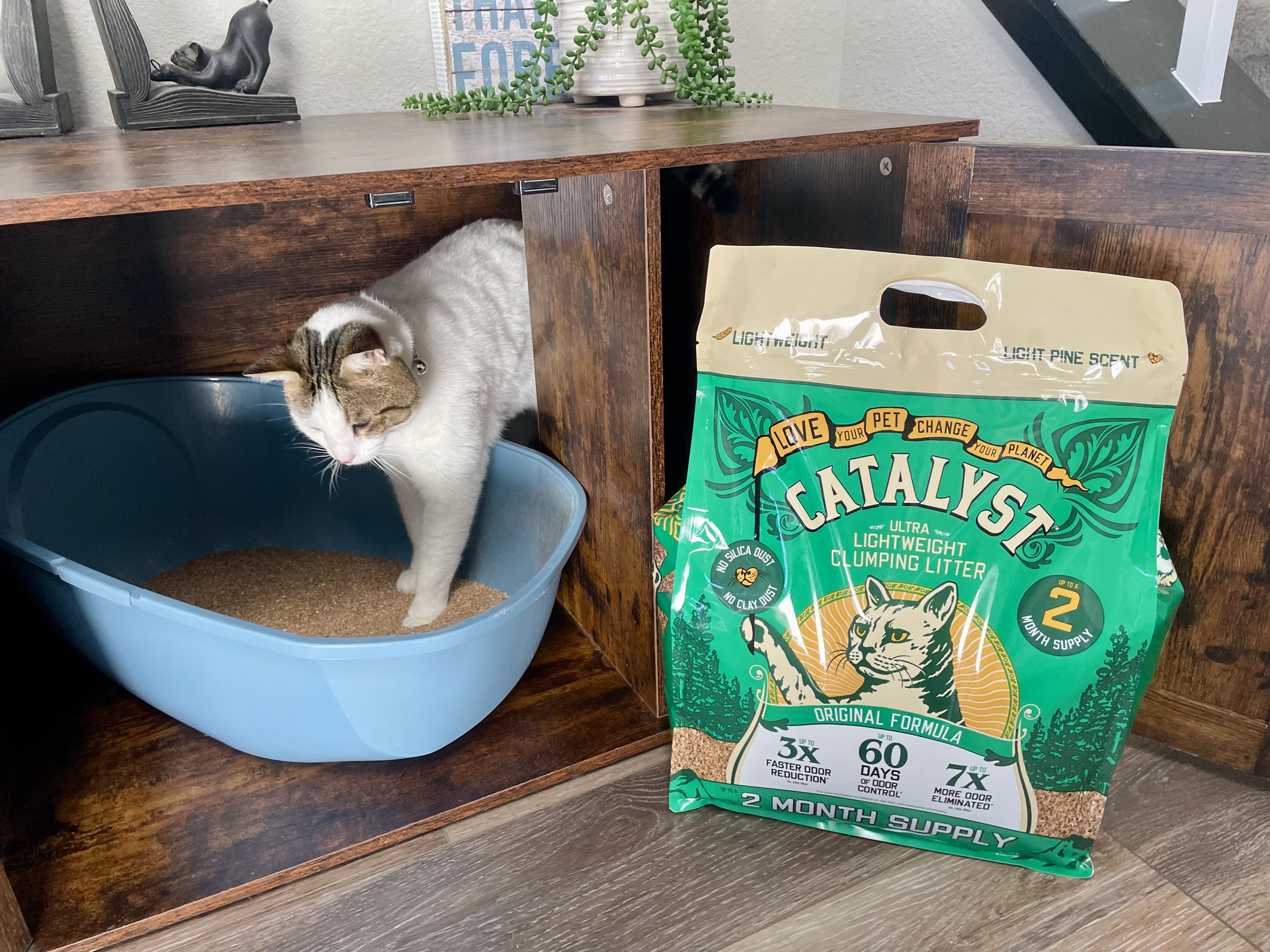 Catalyst Pet Litter Review: Our Expert’s Opinion 2026