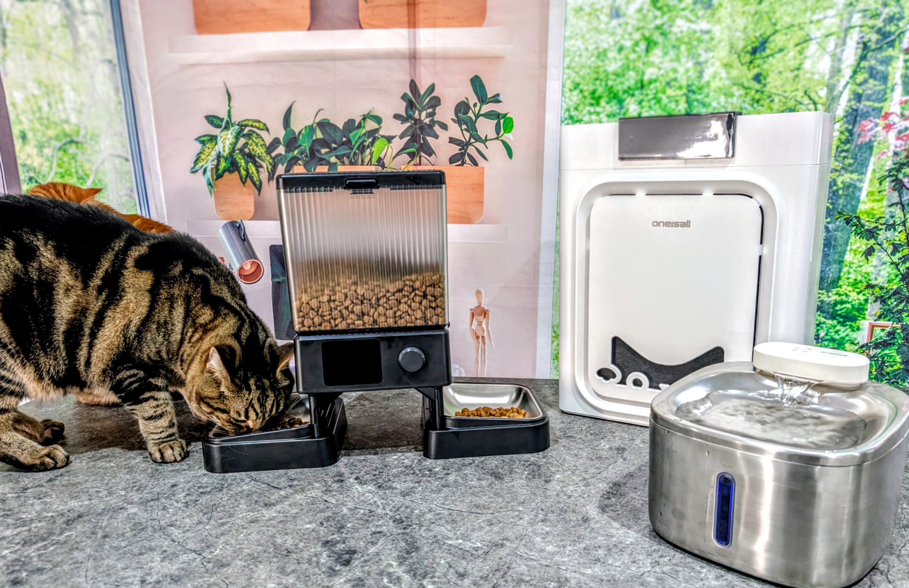 Oneisall Review 2026: Our Vet's Expert Opinion (Cat Water Fountain, Automatic Feeder & Air Purifier)