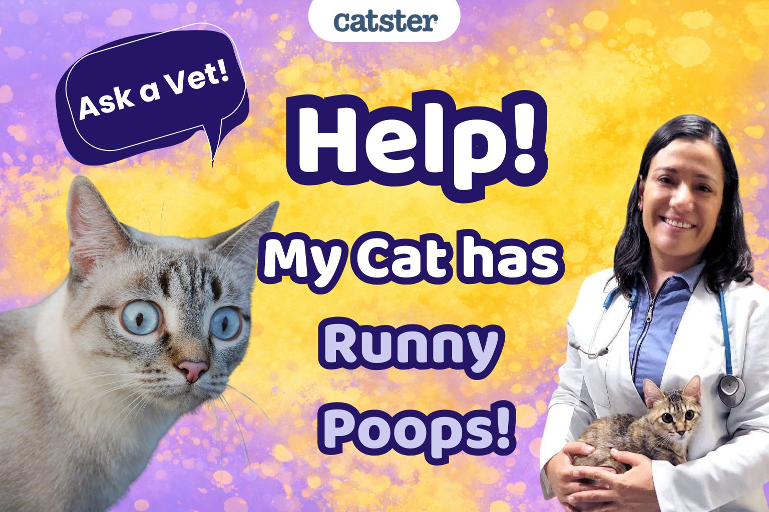 Ask Dr. Paola – Help! My Cat Has Runny Poops! (February 9, 2026)