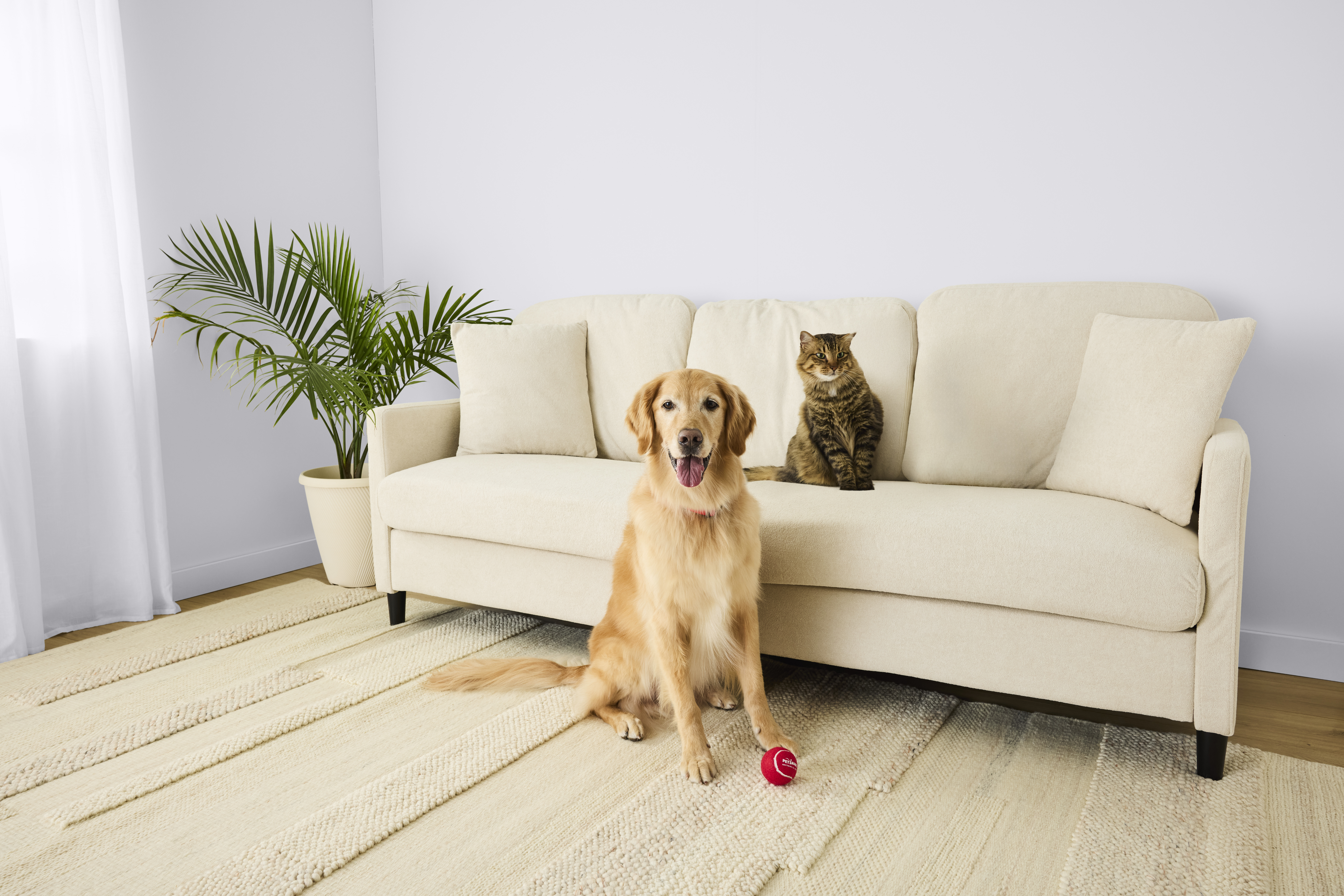 Save on Spring Cleaning Essentials for a Fresher Home & Happier Pet at PetSmart