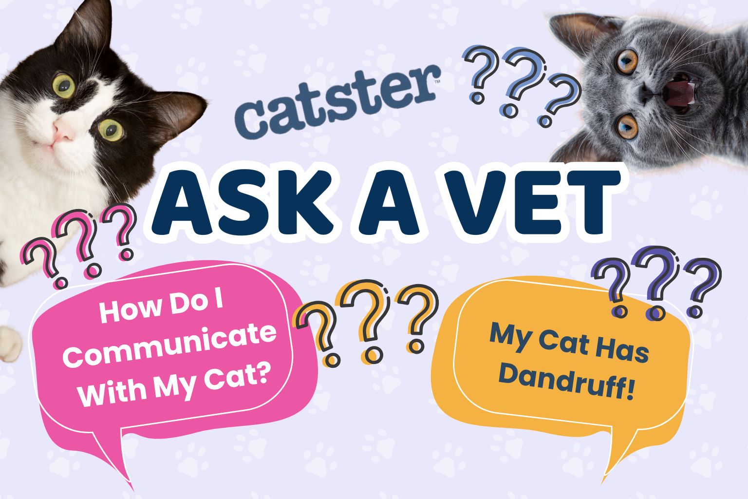 Ask Dr. Paola – Help! My Cat Suddenly Has Dandruff! (March 30, 2026)