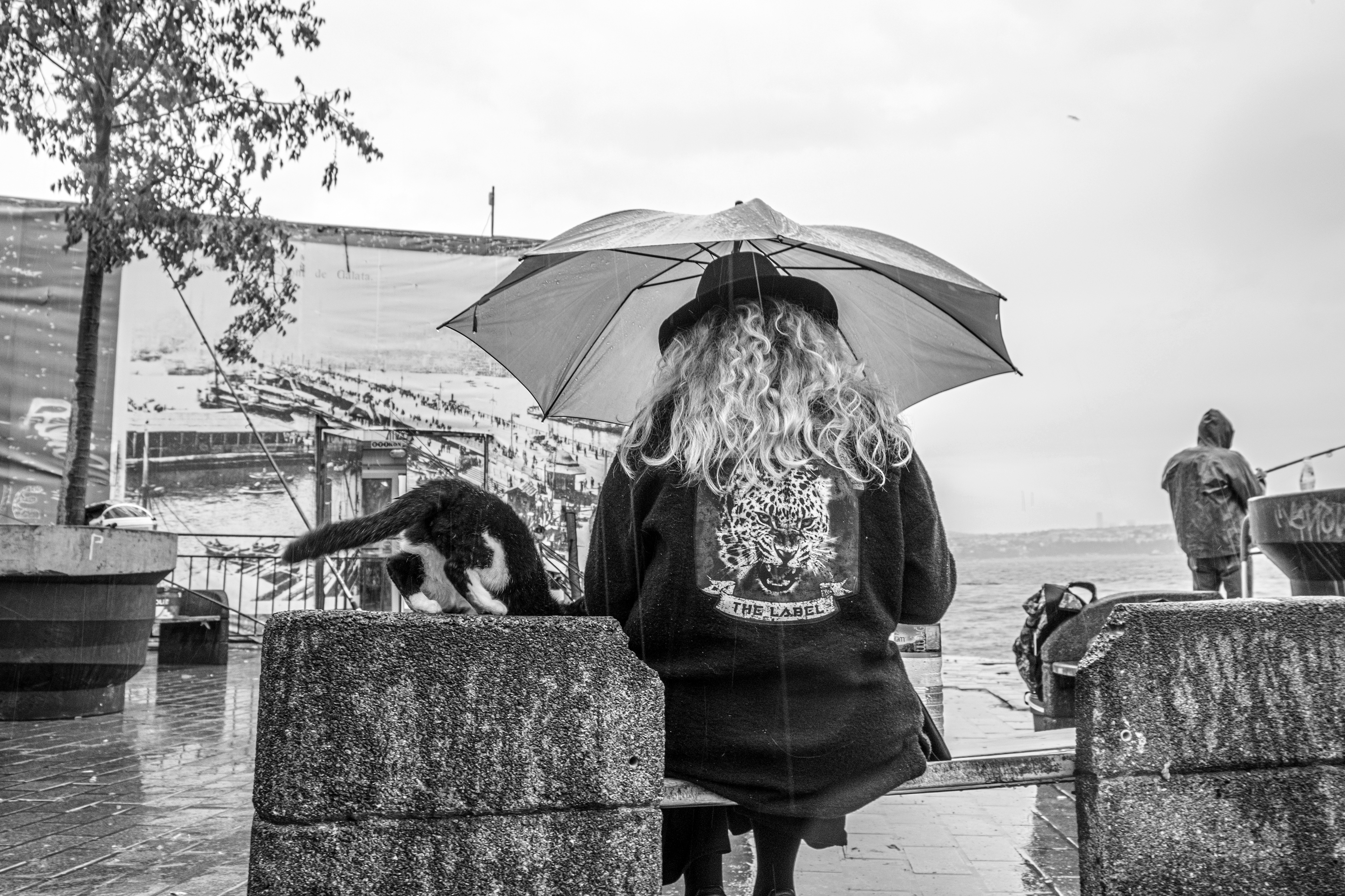 Capturing Catstanbul