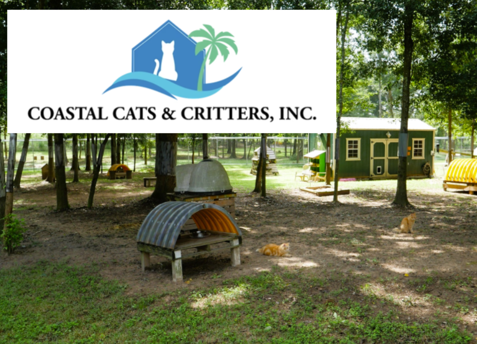 Welcome to Coastal Cats & Critters