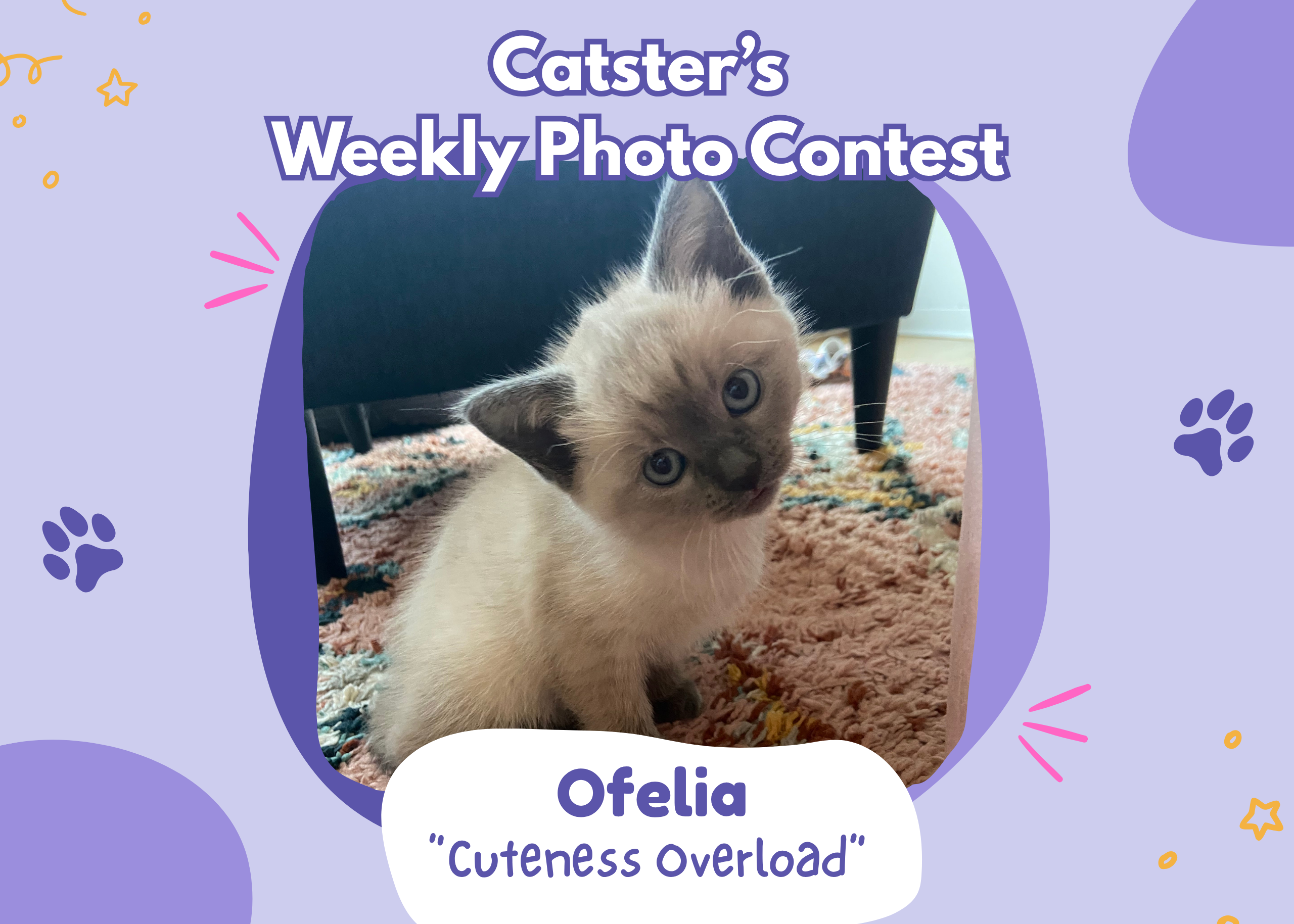 Catster’s Weekly Photo Contest Winners: Cuteness Overload (March 26, 2026)