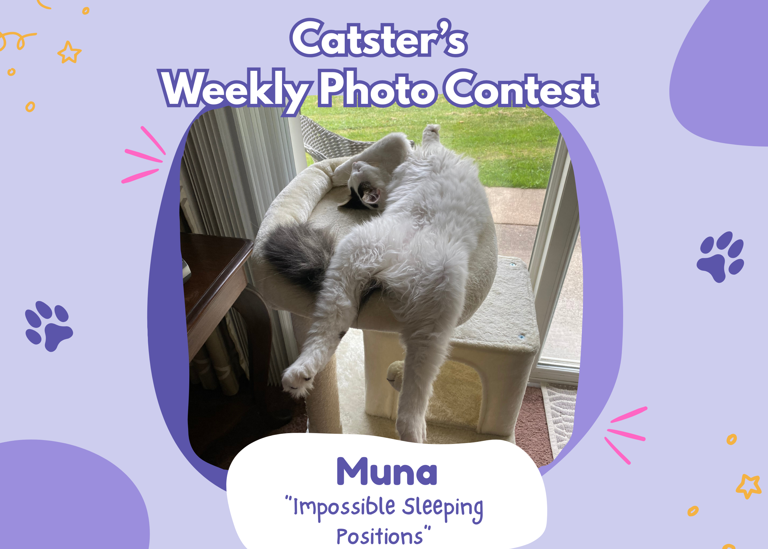 Catster’s Weekly Photo Contest Winners: Impossible Sleeping Positions (March 5, 2026)