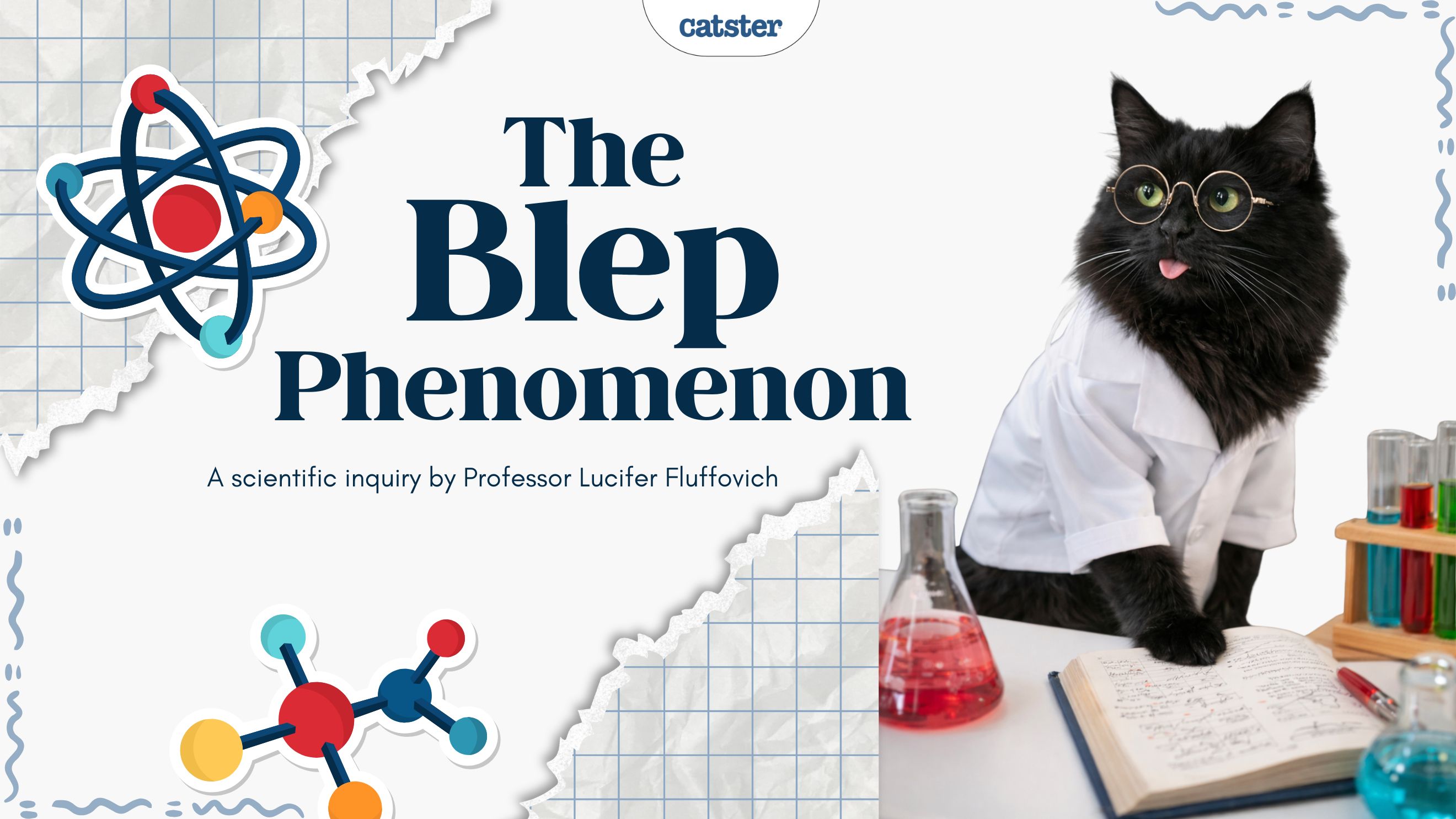 A Scientific Inquiry into the Phenomenon of the “Blep”