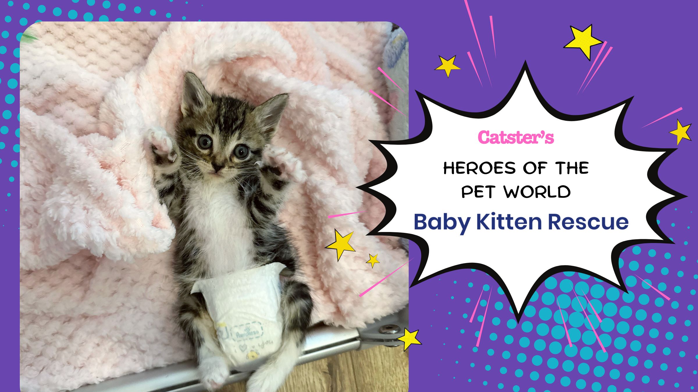 Hope for the Tiniest Fighters: Baby Kitten Rescue | Heroes of the Pet World