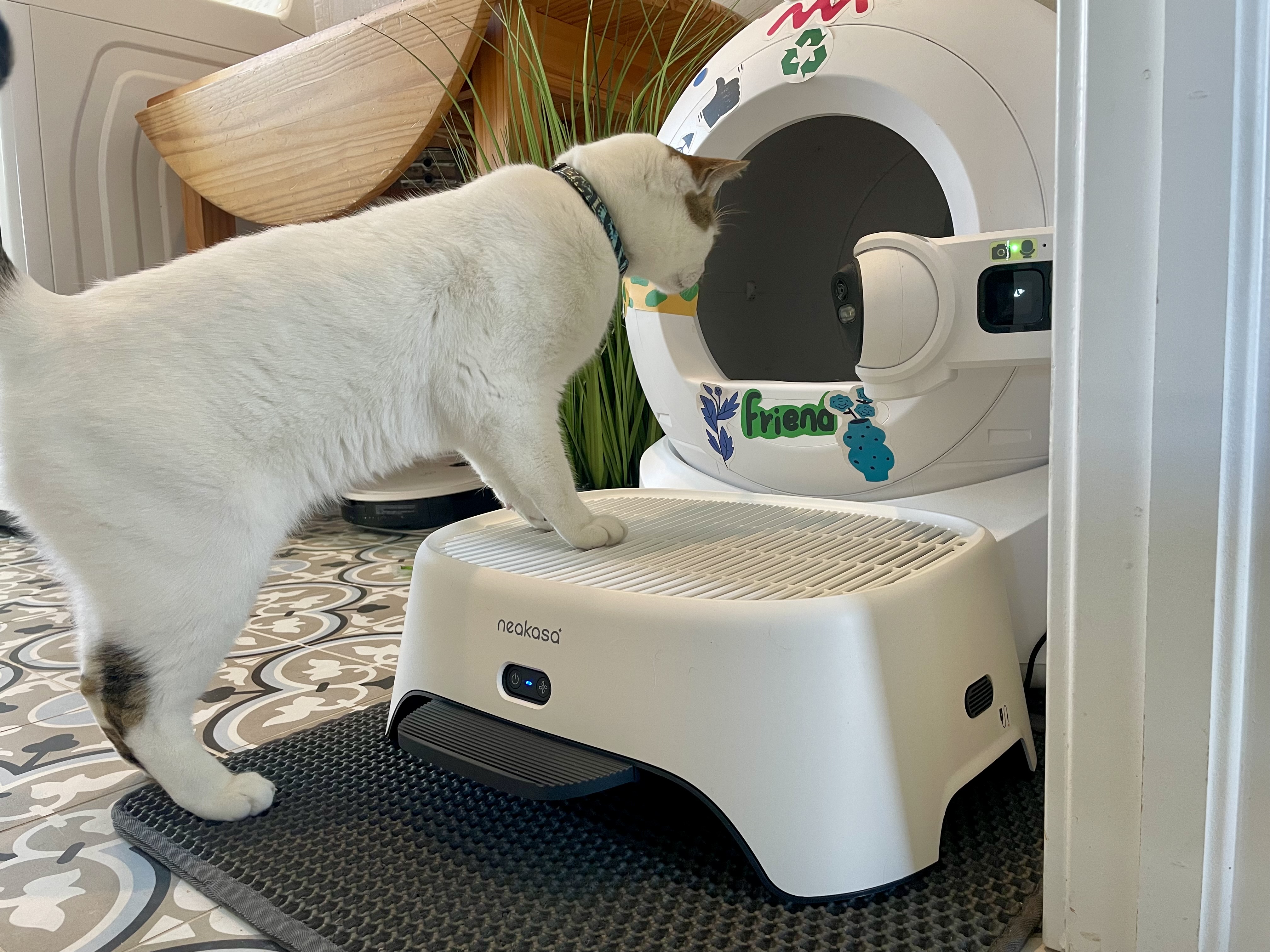 Neakasa AirStep Odor-Eliminating Cat Litter Box Step Review 2026: Our Expert’s Opinion