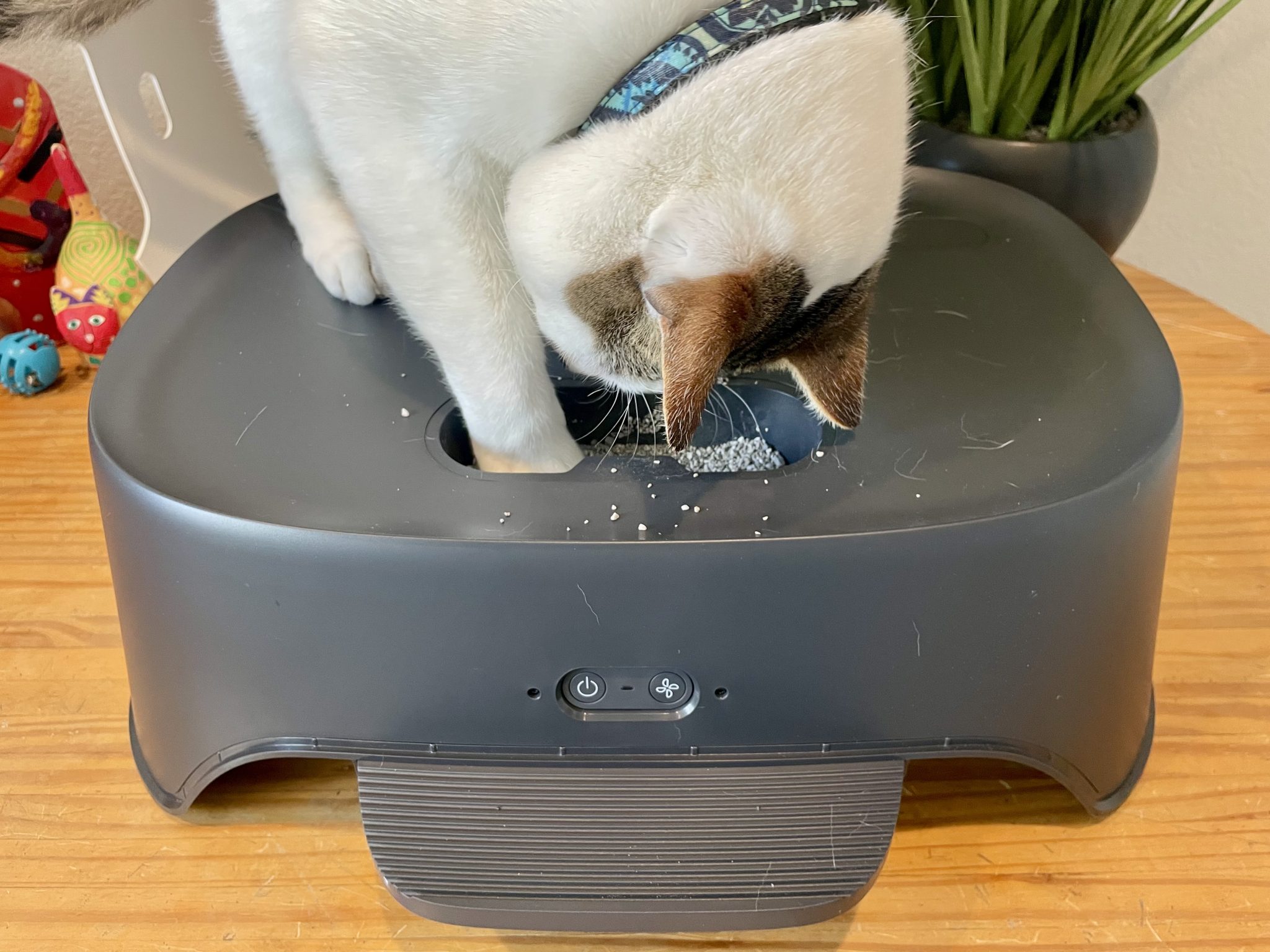 Neakasa AirStep Odor-Eliminating Cat Litter Box Step Review 8