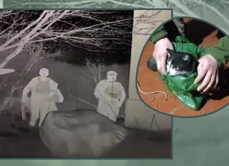 Ukrainian Troops Turned a Supply Drone Into a Pet Rescue Mission