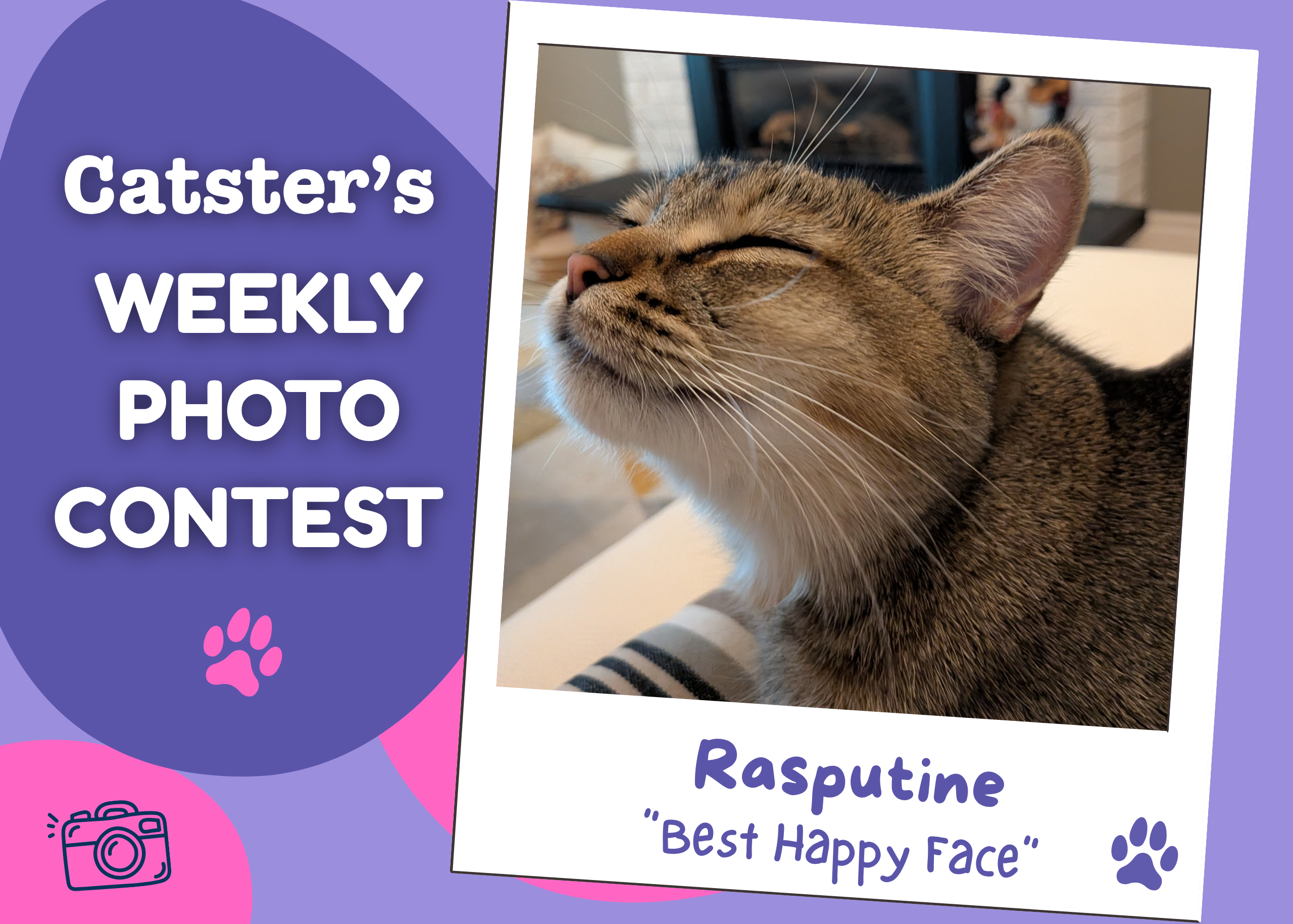 Catster’s Weekly Photo Contest Winners: Best Happy Face (April 23, 2026)