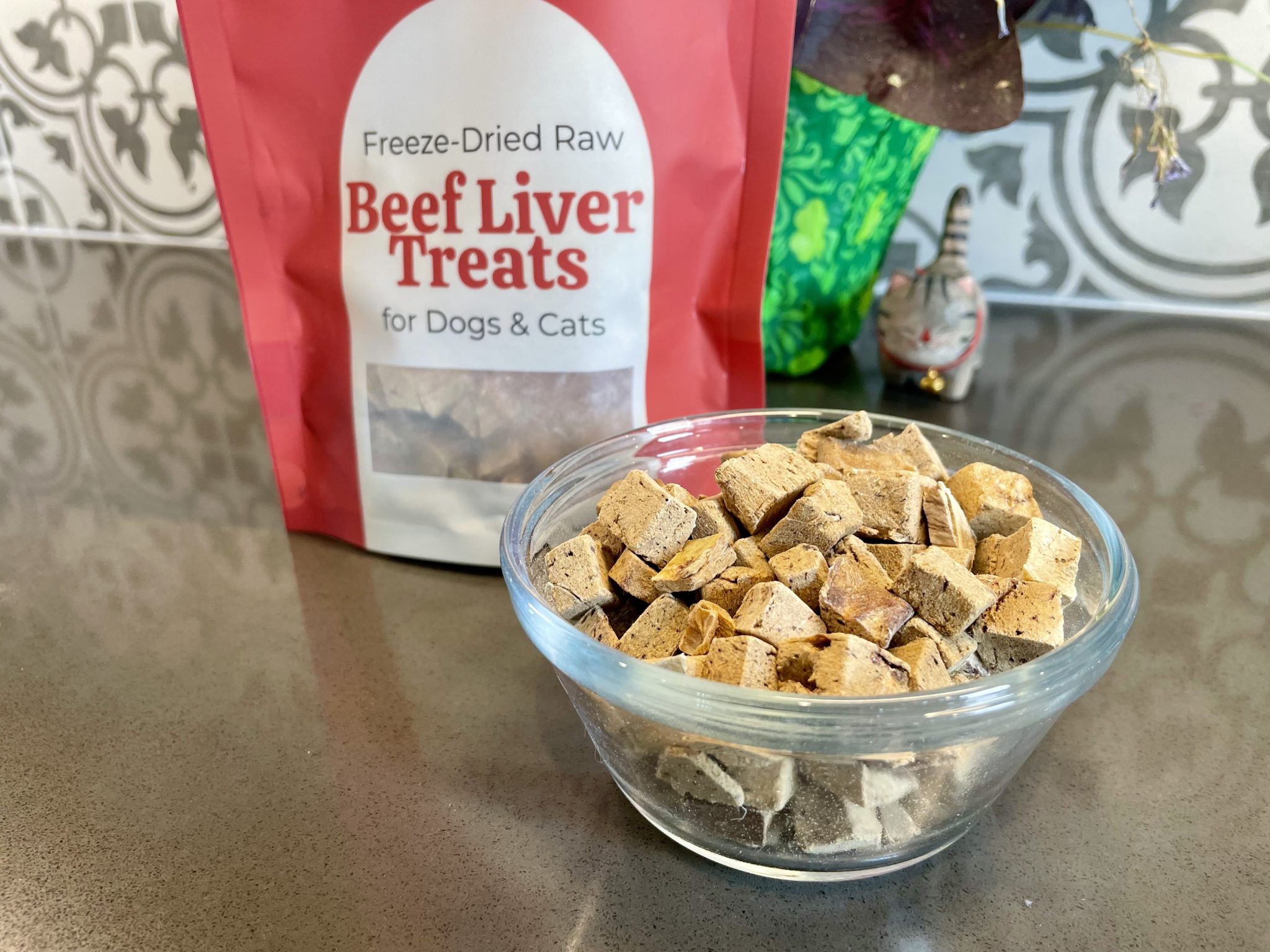 Darwin’s Pet Cat Food Review 2026_ Pros, Cons &amp; Final Verdict 3