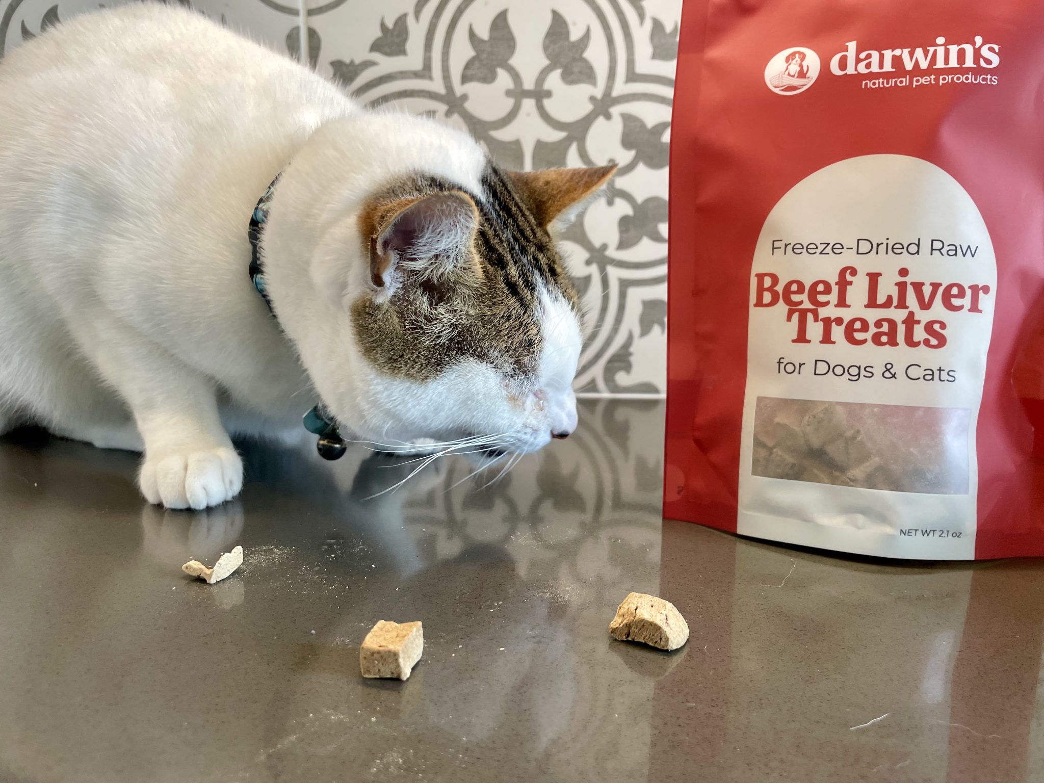 Darwin’s Pet Cat Food Review 2026_ Pros, Cons &amp; Final Verdict 9