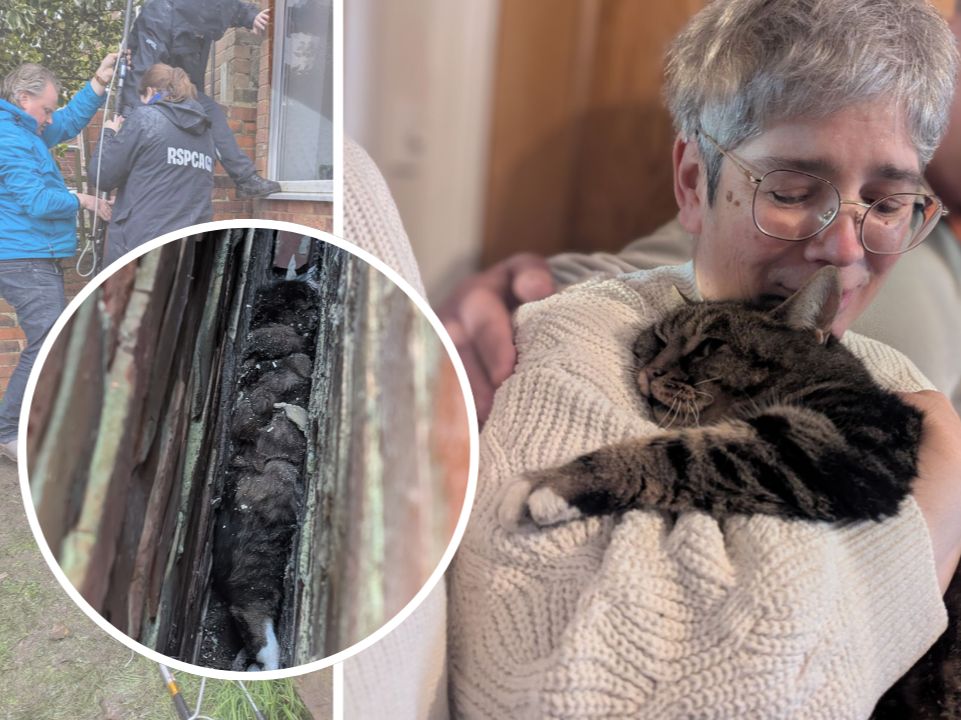 Dramatic Rescue Turns Into Dramatic Reunion