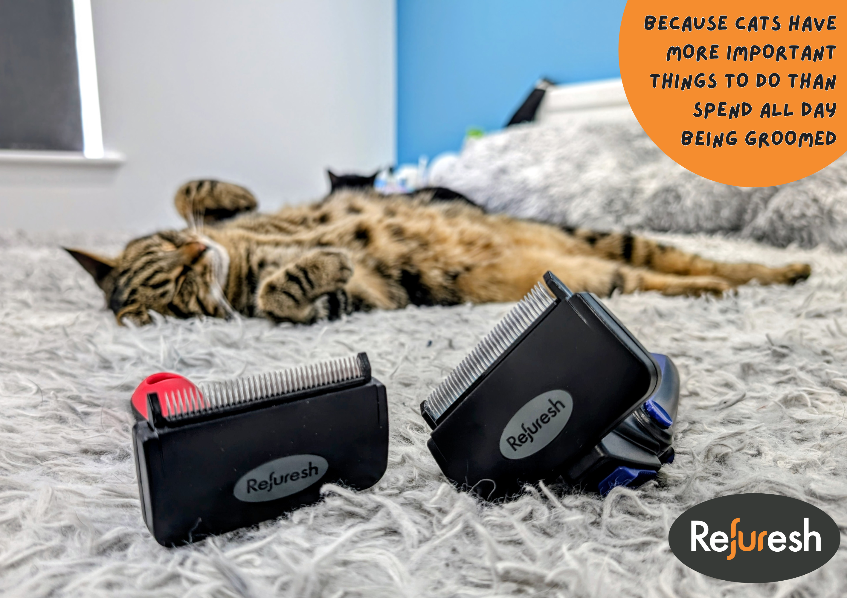The Refuresh Deshedding Tool - It’s No Ordinary Brush