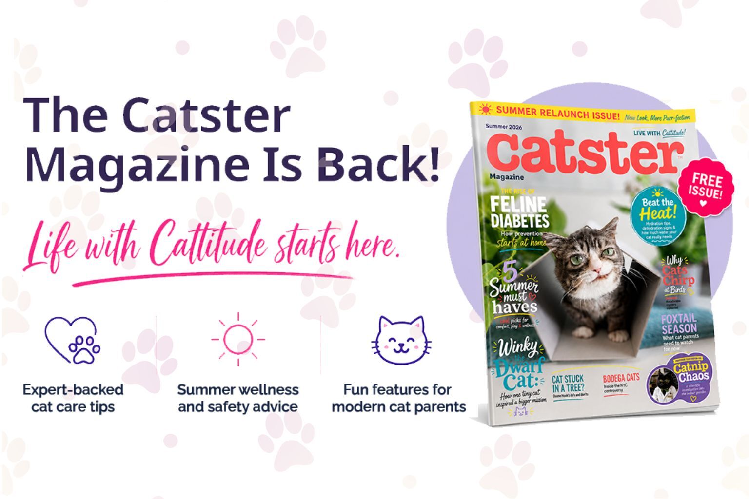 The Catster Magazine is Officially Back!