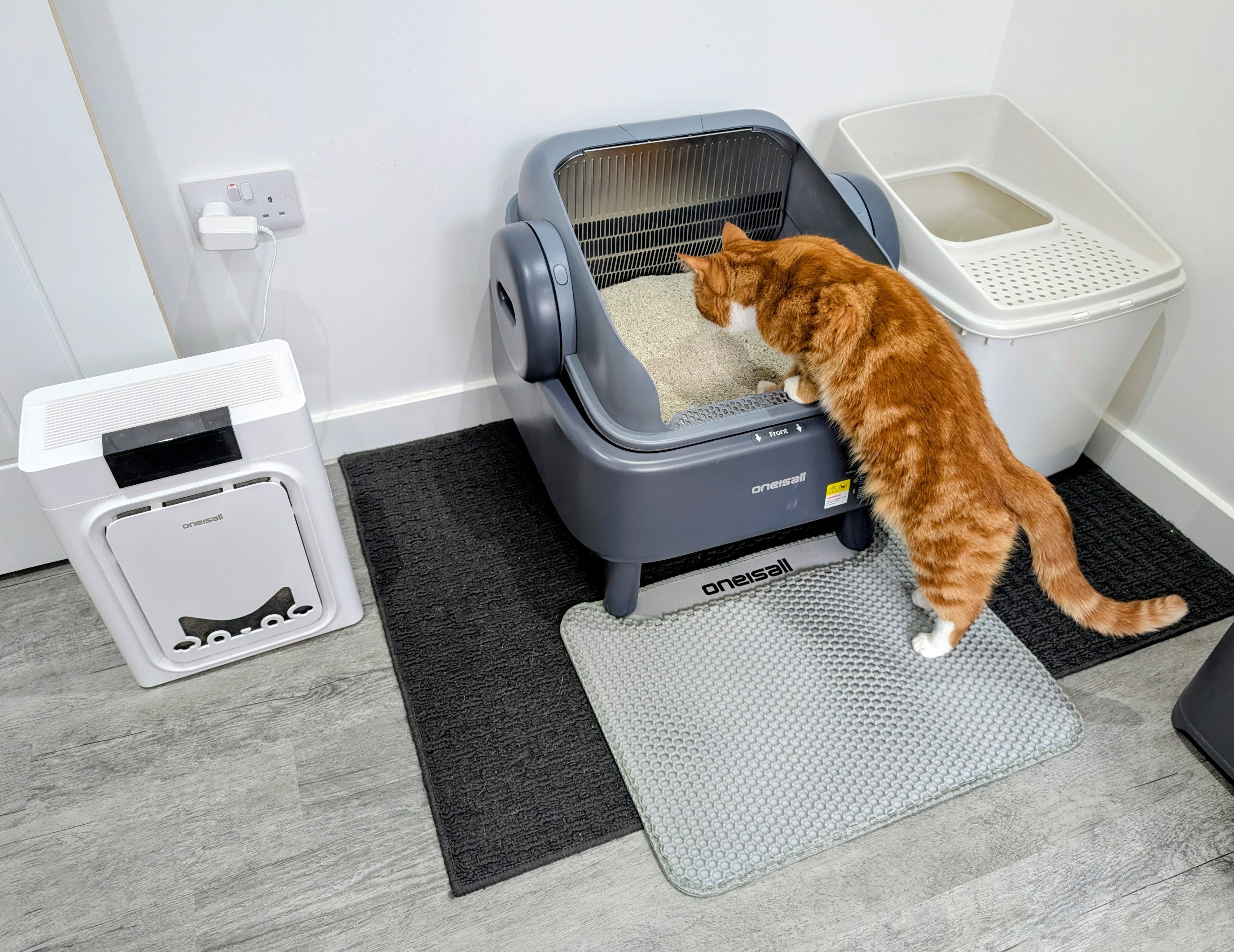 Level Up with the Self-Cleaning Litter Box From Oneisall – Our Expert’s 2026 Review