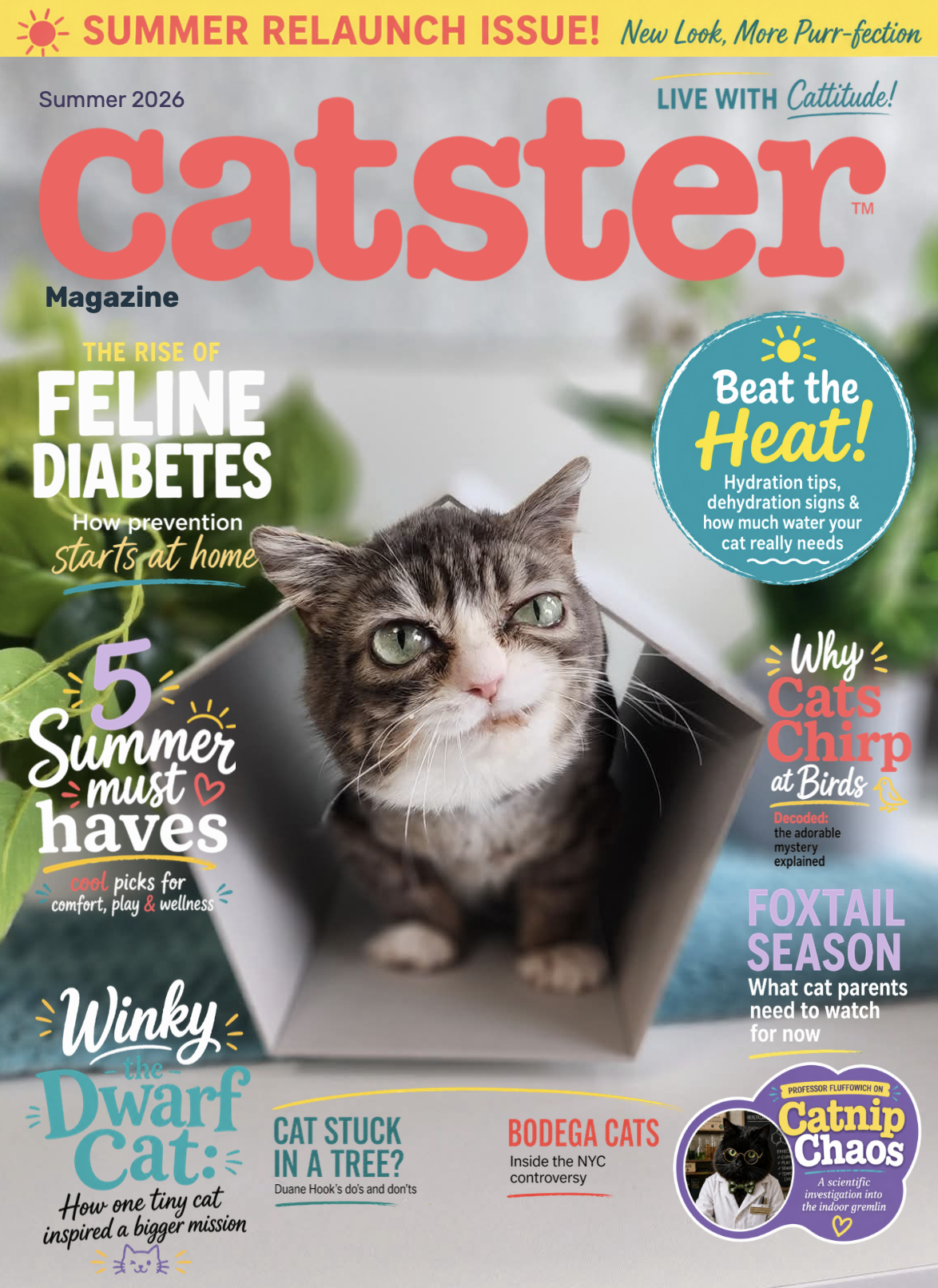 Catster Magazine Cover June 2026Catster Magazine Cover June 2026