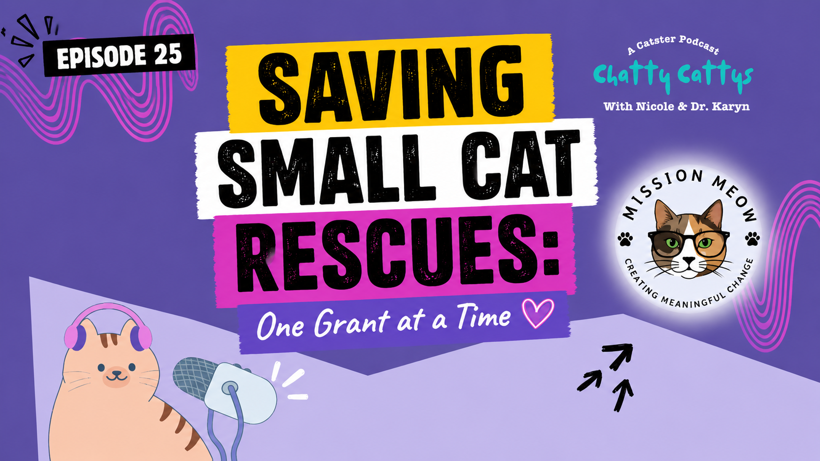 Chatting With Sally About Mission Meow & Helping Cat Rescue Organizations Collaborate | Chatty Cattys, Episode 25