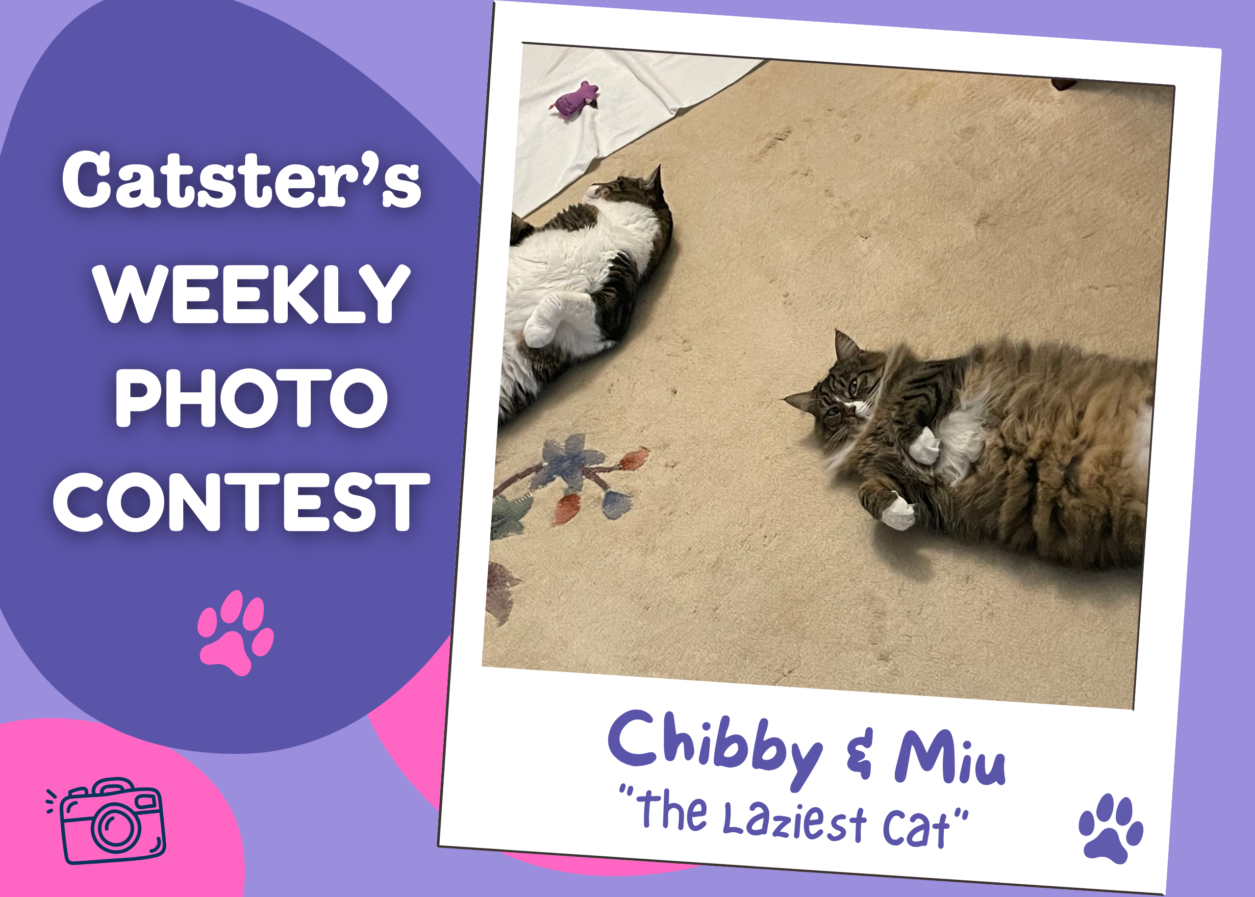 Catster’s Weekly Photo Contest Winners: The Laziest Cat (July 20, 2026)
