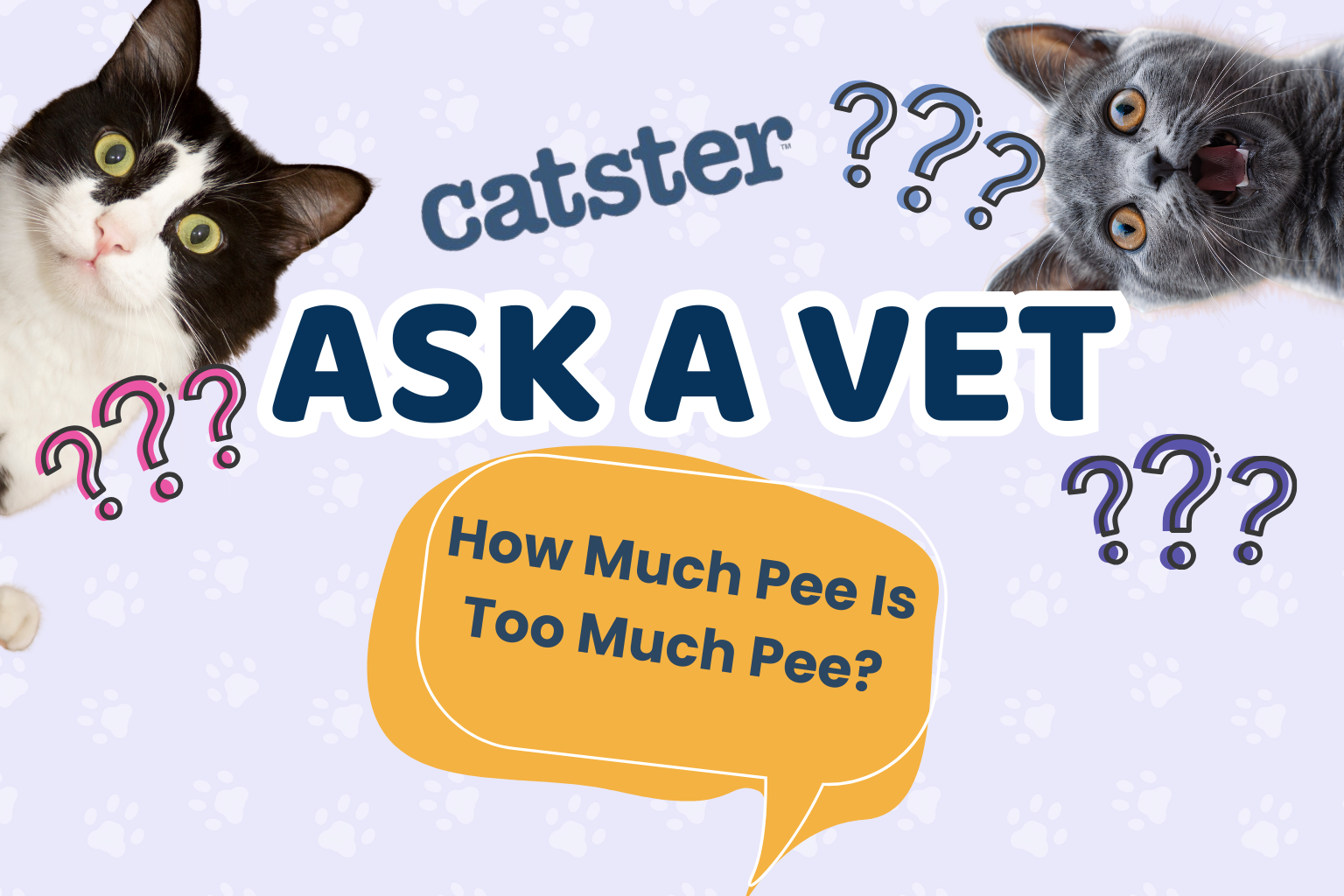 Ask Dr. Paola – Help! How Much Pee Is Too Much Pee? (July 13, 2026)