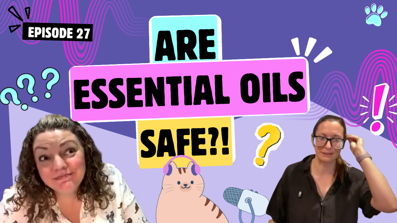 Chatting About Essential Oils, Homemade Cat Food & The Color of Butter | Chatty Cattys, Episode 27