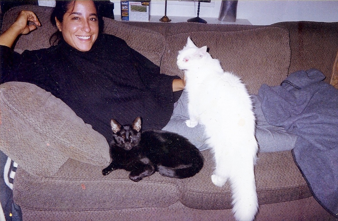 The Cat Who Changed Everything: Gwen Cooper on Homer, Hope, and Her Newest Chapter