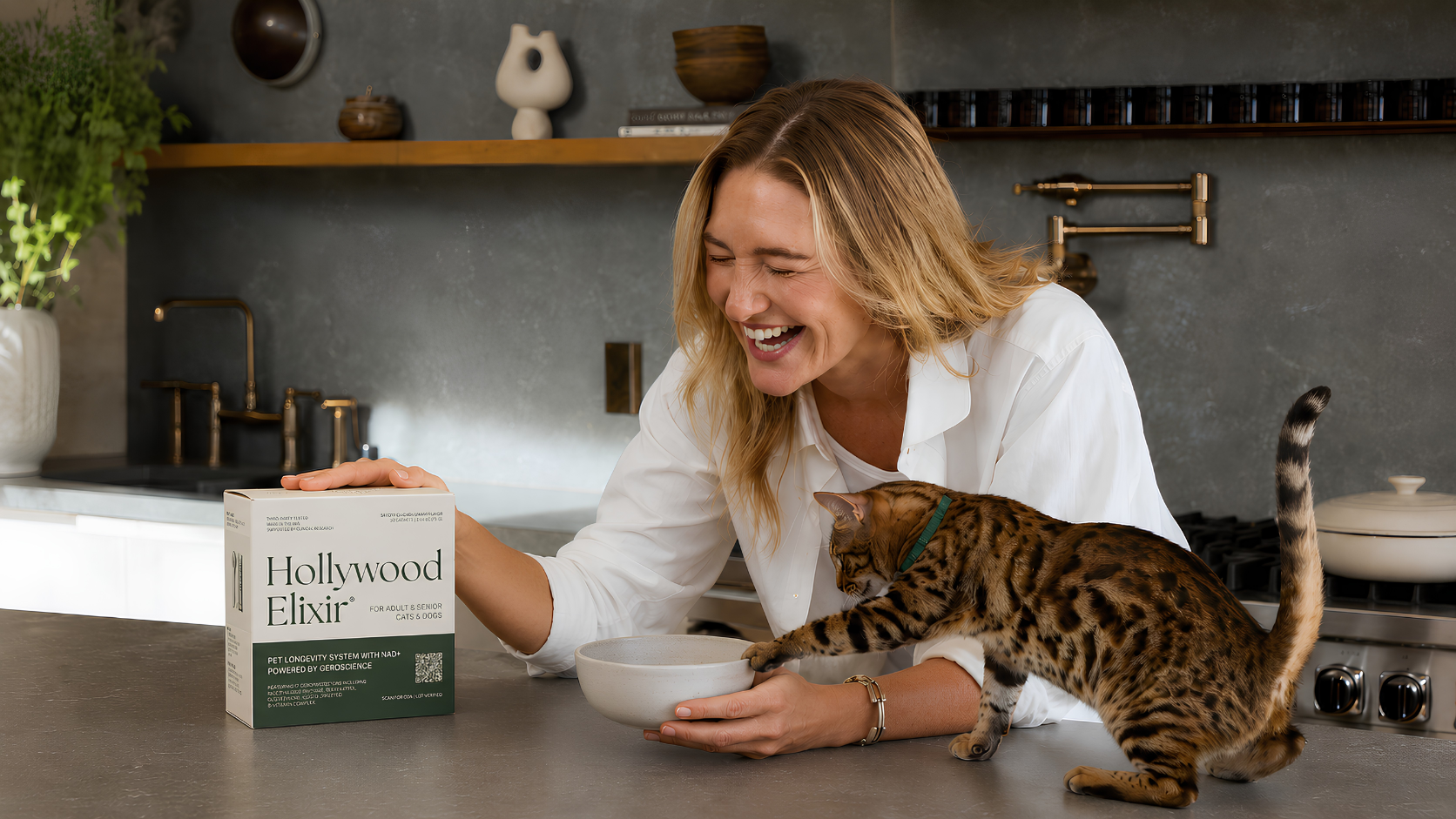 Invisible Aging In Cats: How Veterinary Geroscience Could Help Cats Live Longer, Healthier Lives