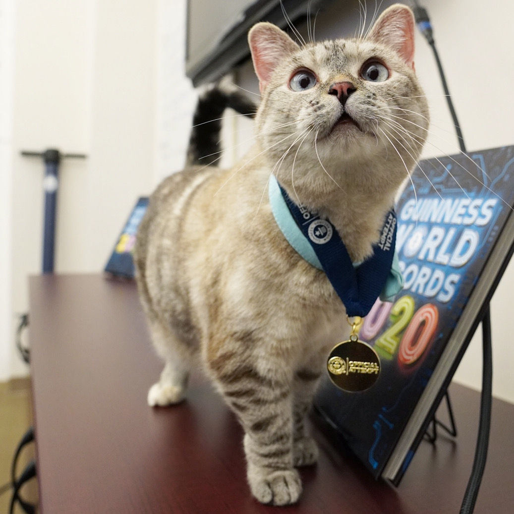The Love Behind ‘Love, Nala’