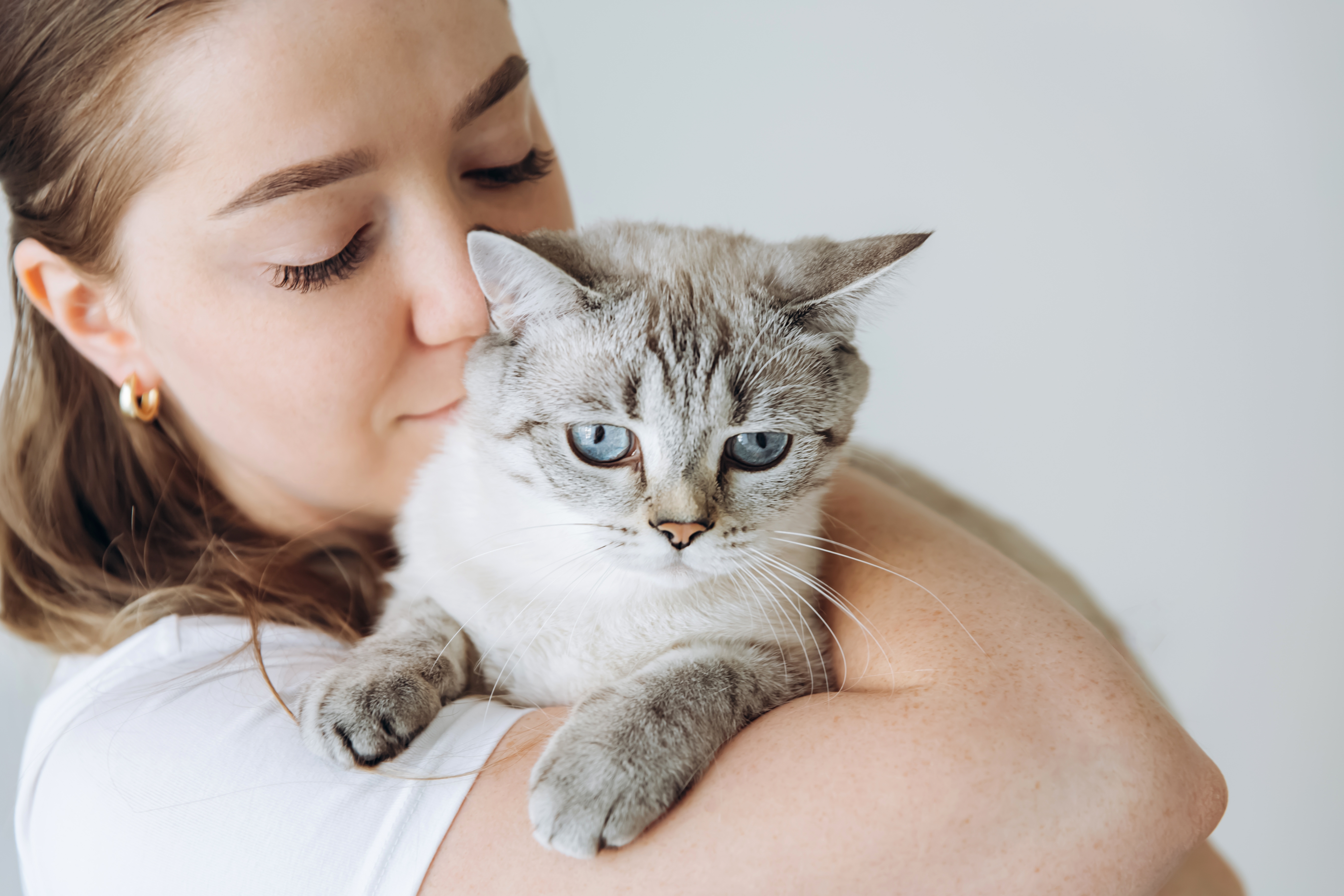 10 Best Cat Colognes in 2026 – Reviews & Top Picks