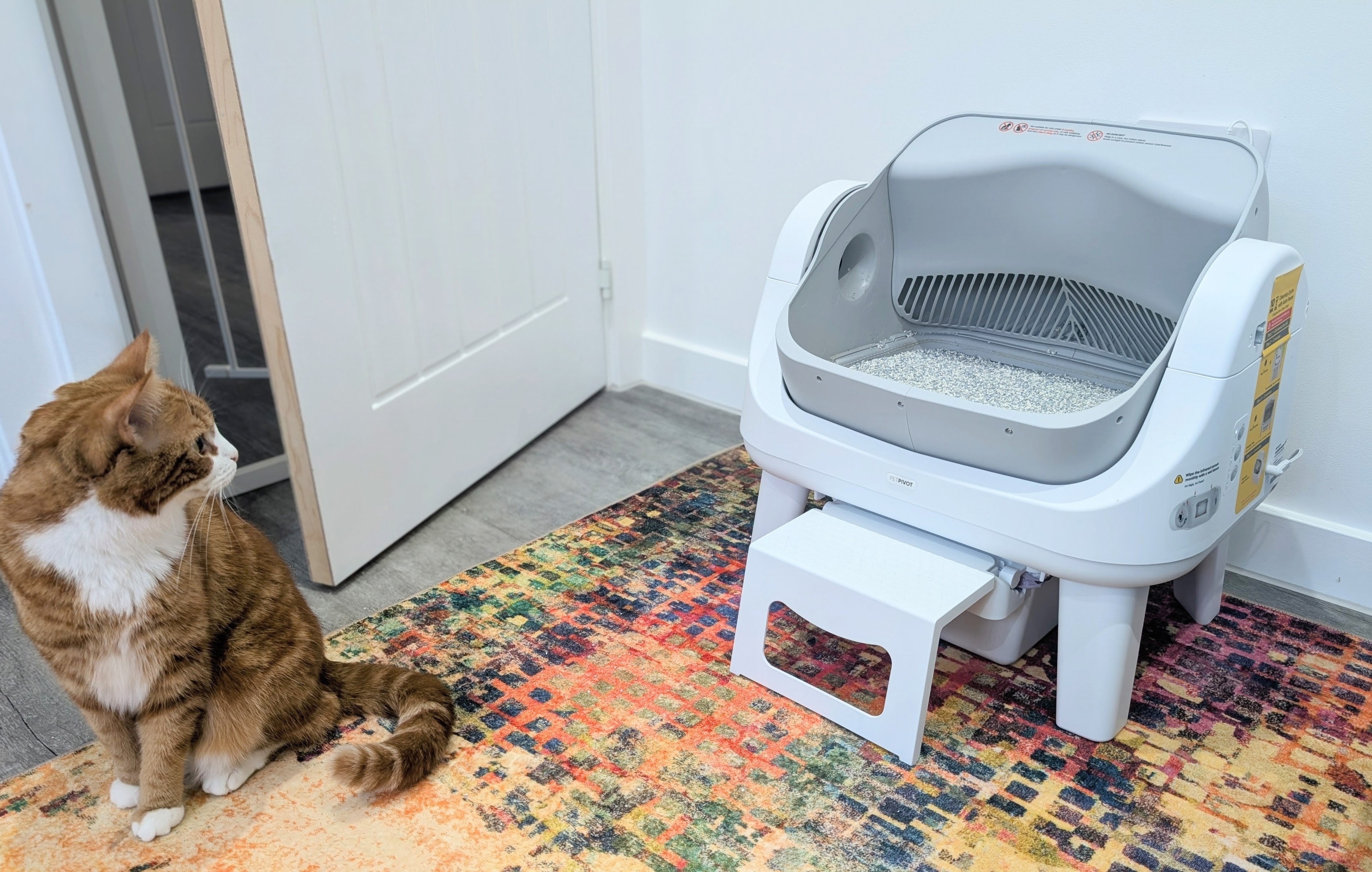 PetPivot AutoScooper 12 Review 2026: Our Expert Opinion