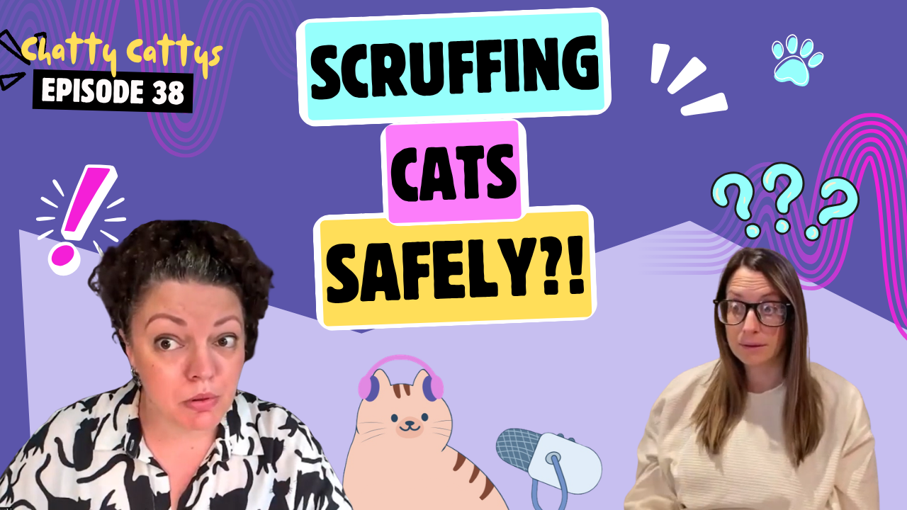Chatting About Safe Scruffing Education, Feline Altruism, and Our Guest, Cyril | Chatty Cattys, Episode 38
