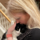 Joy and the Pride of Kitty Cats